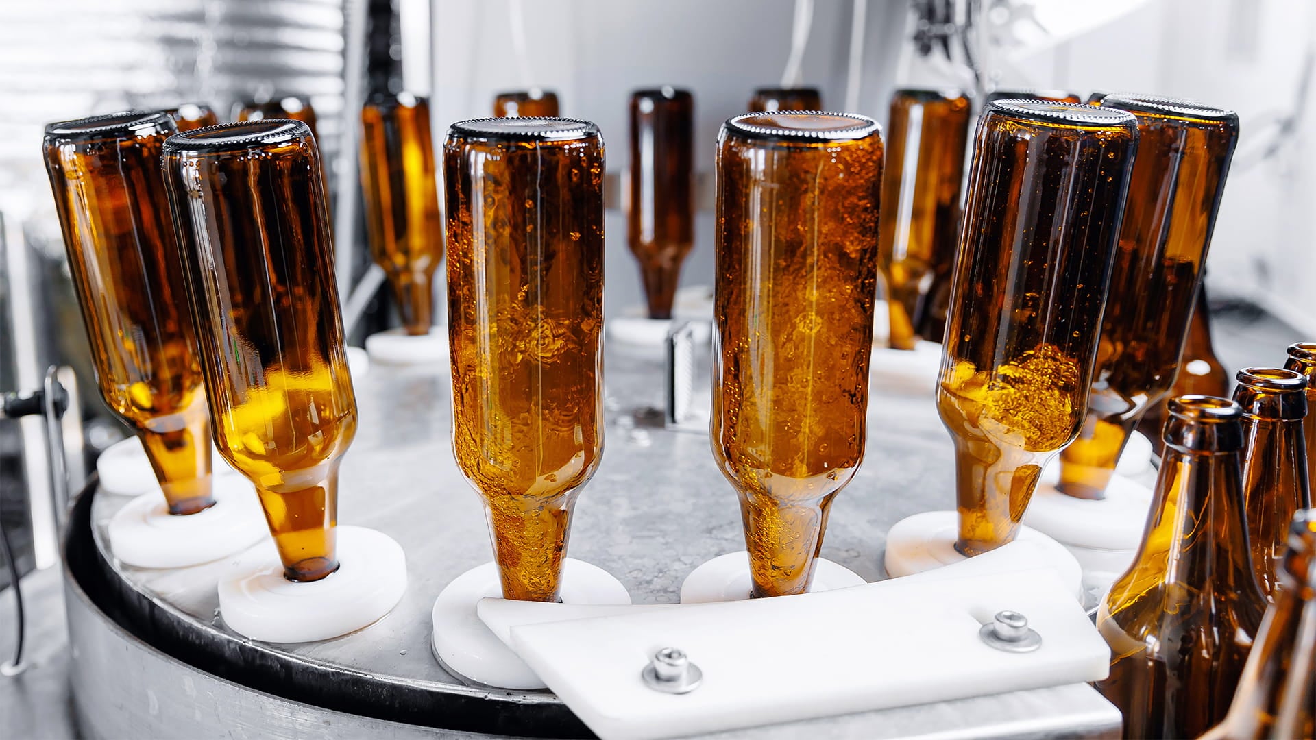 Recycled beer bottles being washed for reuse in beer manufacturing process
