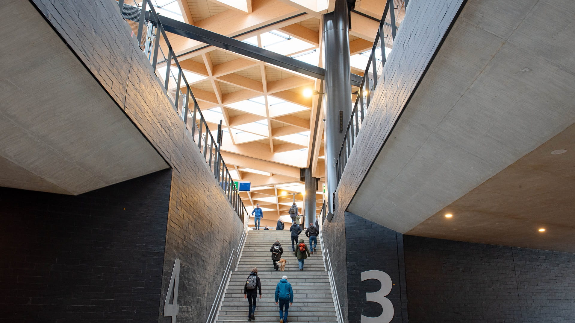 Station Ede-Wageningen canopy