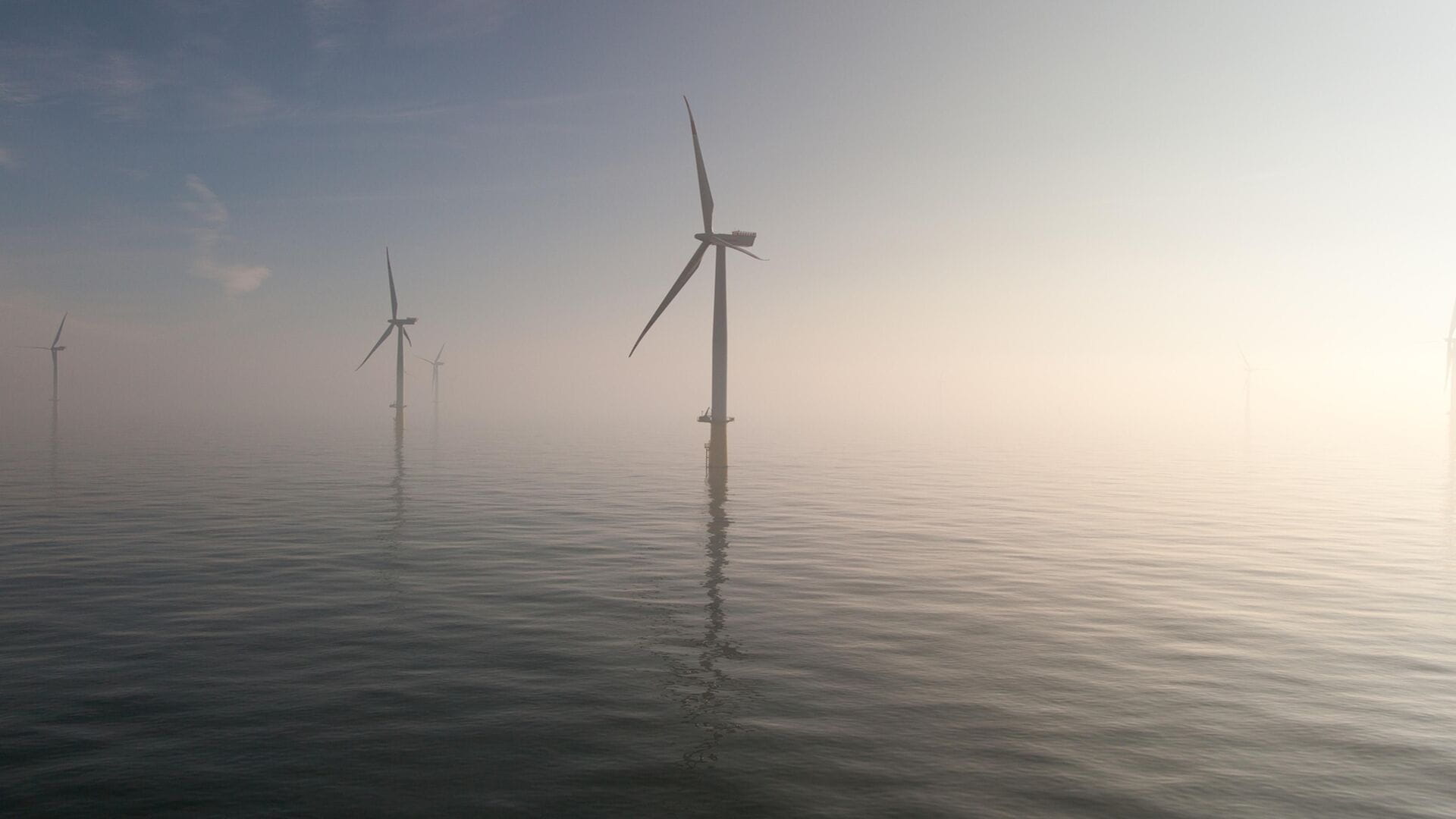 A row of offshore wind turbines stands in the calm waters of the North Sea, shrouded in morning fog.