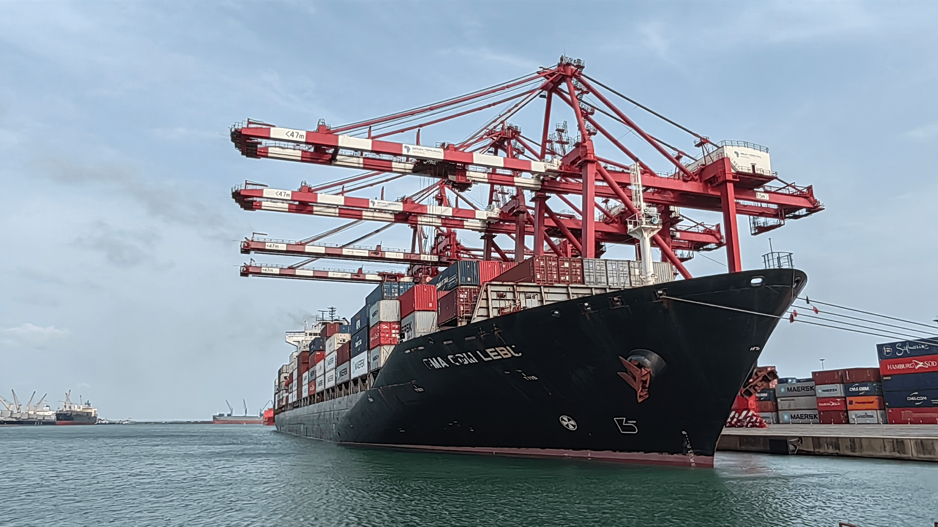 Container ship docked at terminal with working cranes