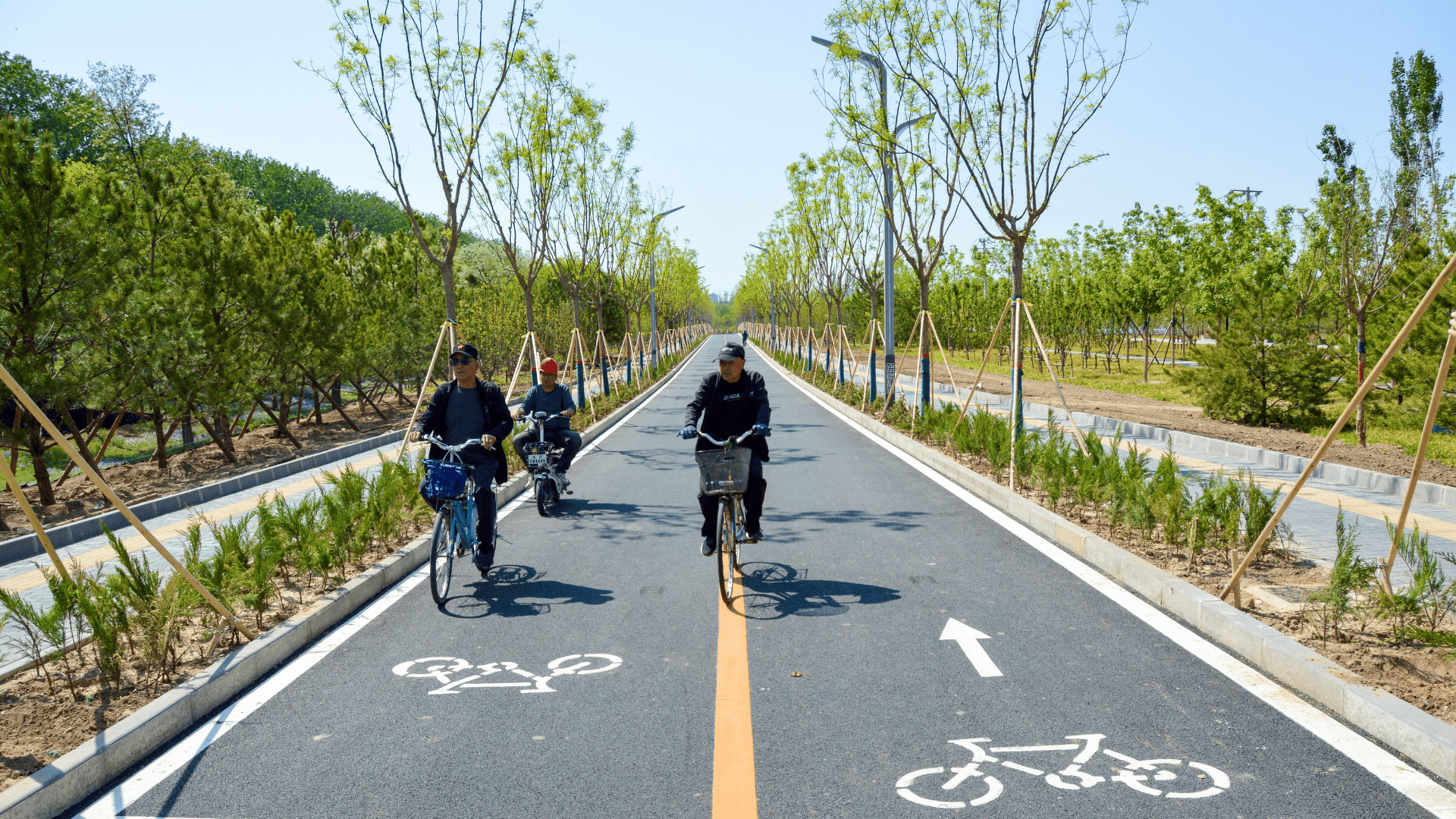 People biking on street