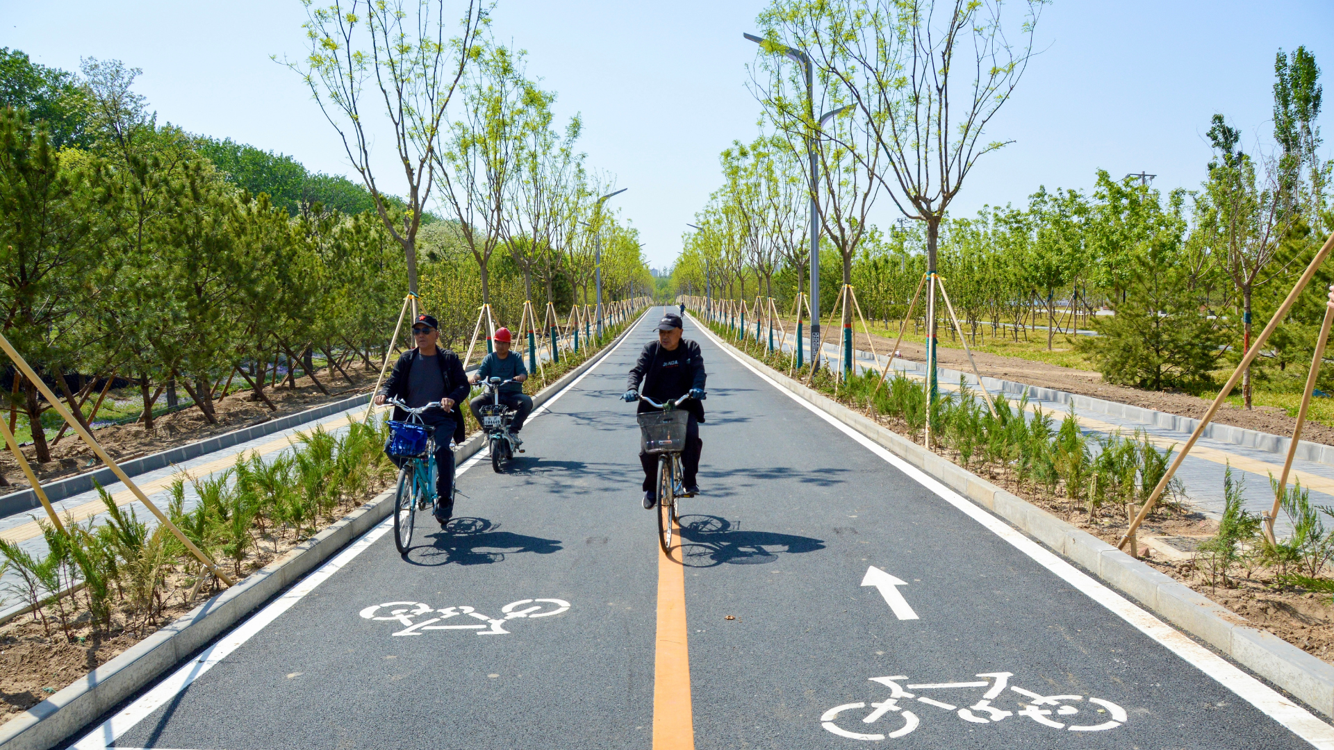 People biking on street