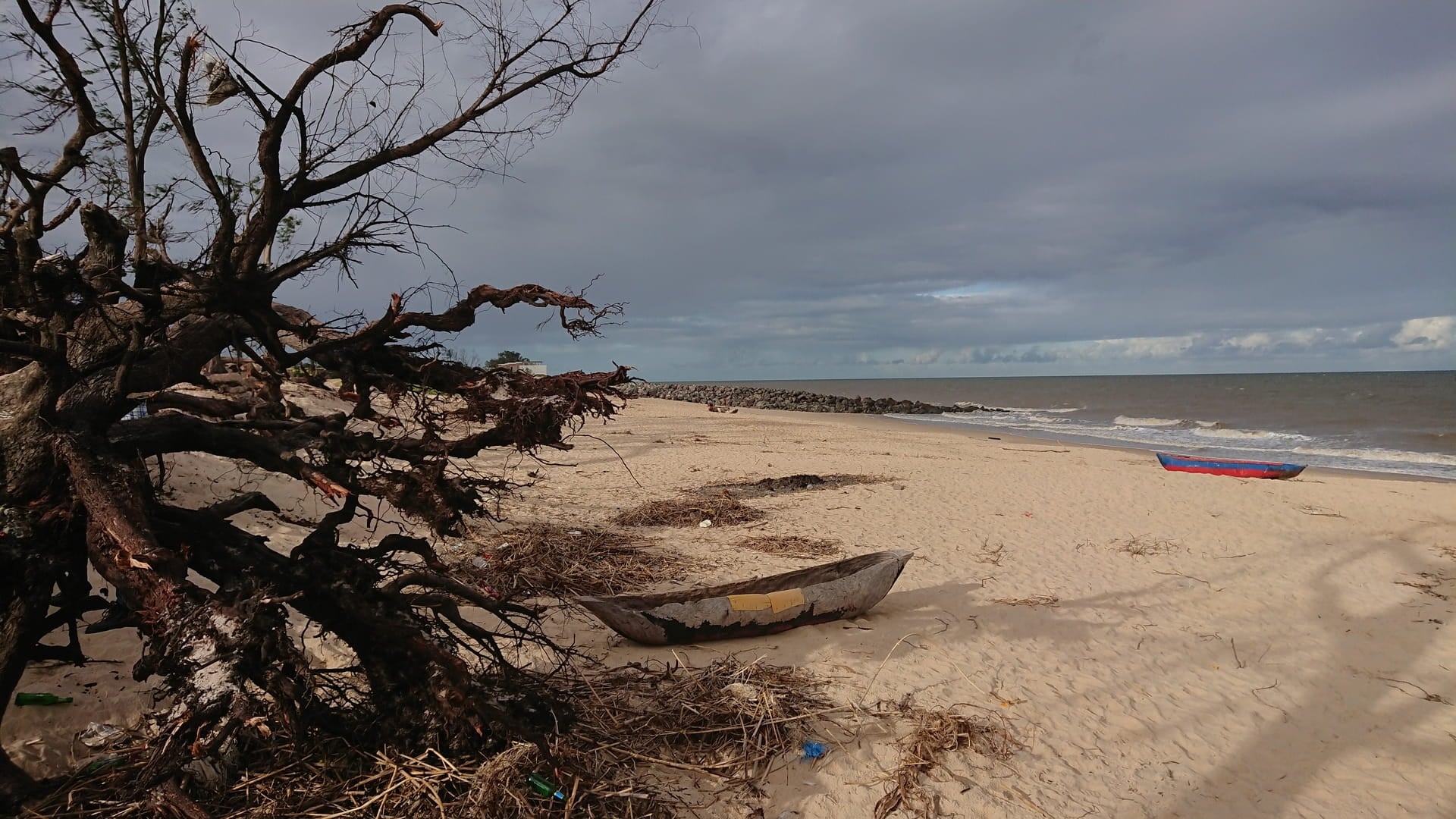 coastal protection in Beira
