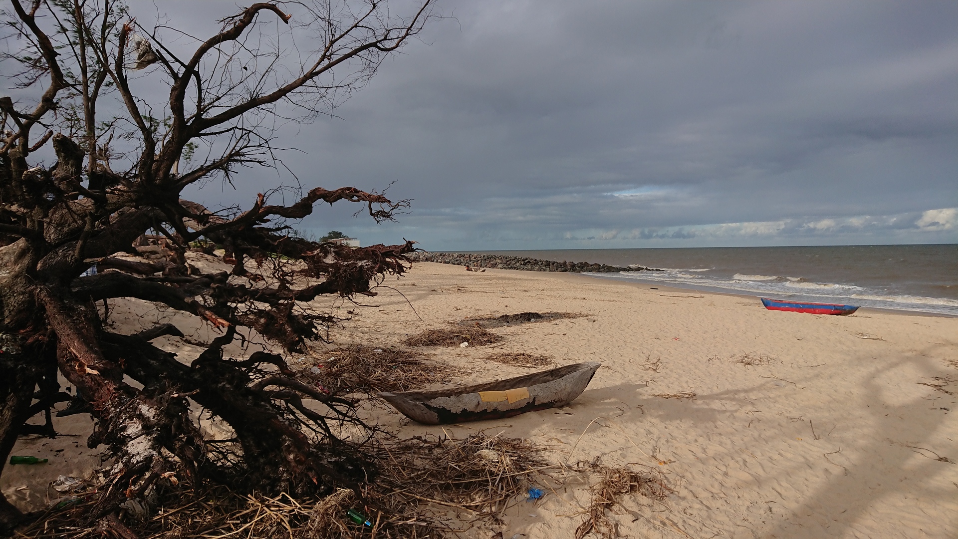 coastal protection in Beira