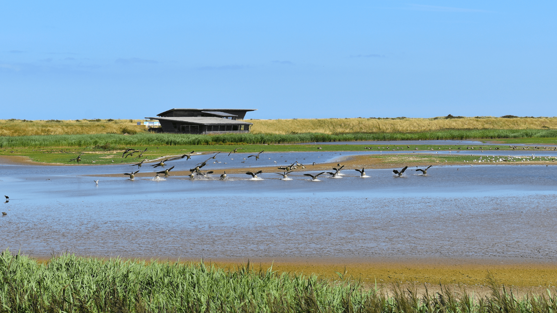 Titchwell Marsh, Norfolk