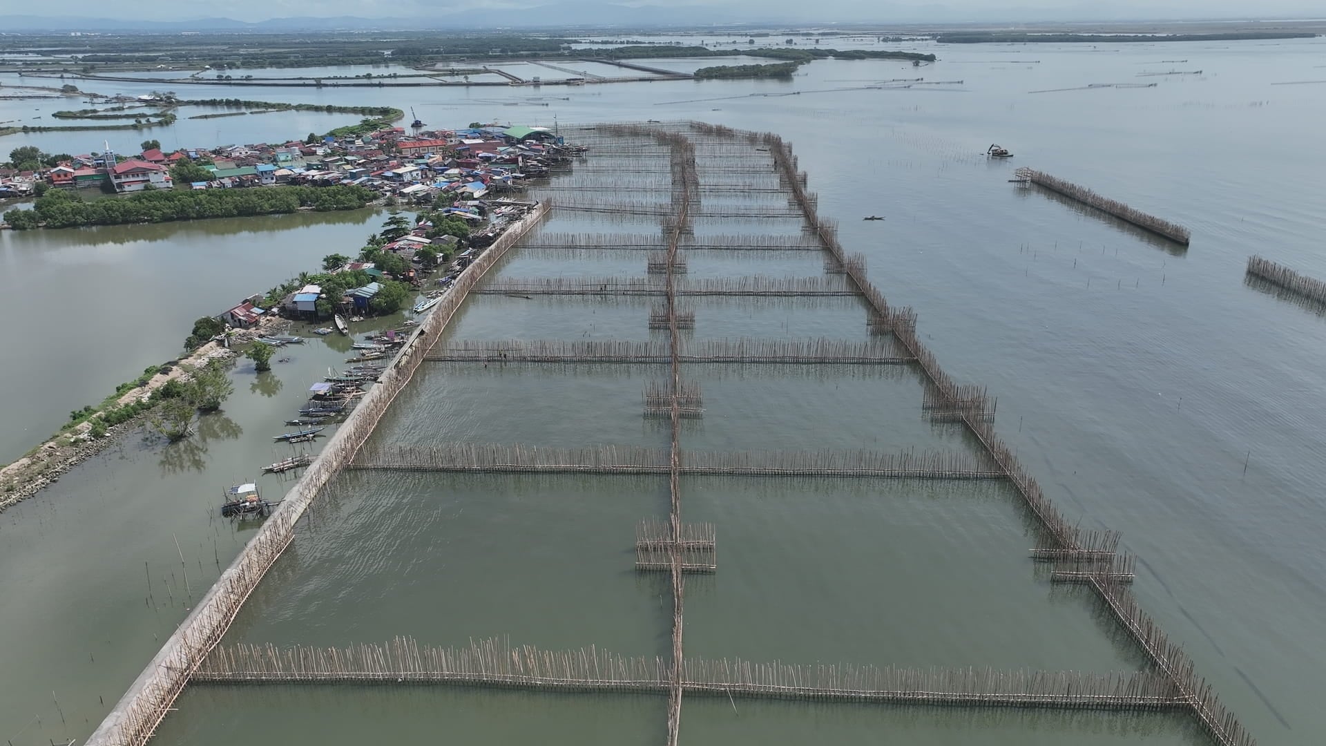 Aerial view of bamboo breakwaters and sediment traps protecting the coast of Barangay Pamarawan, Malolos, Bulacan, Philippines.