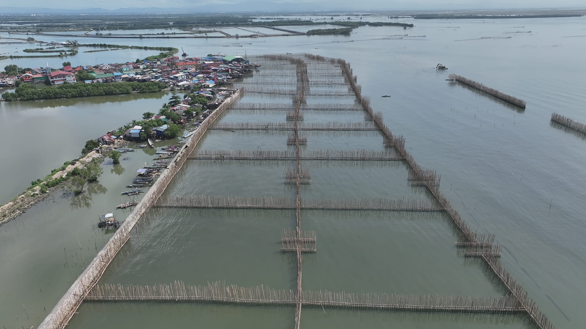 Aerial view of bamboo breakwaters and sediment traps protecting the coast of Barangay Pamarawan, Malolos, Bulacan, Philippines.