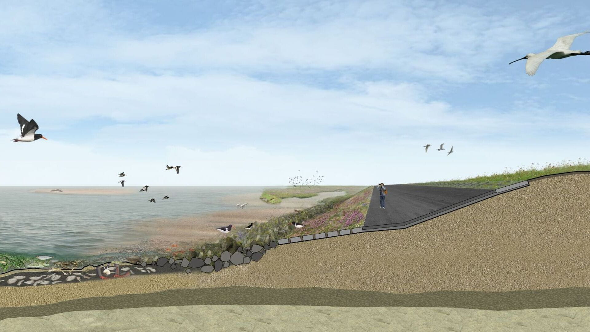 Artist impression dike Lauwersmeer