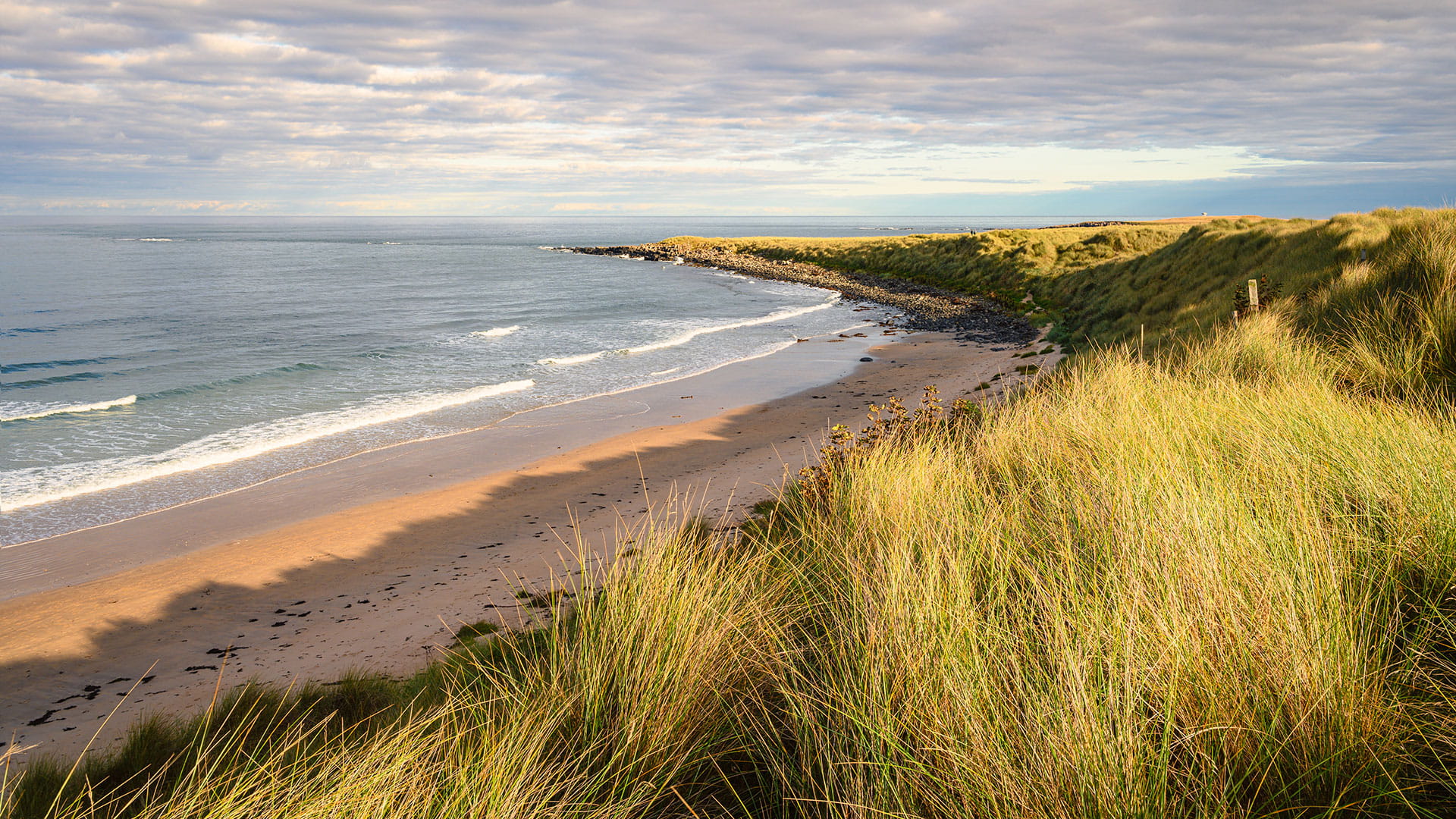 Coastline adorned with sand showcasing the successful outcome of a sustainable shoreline management plan 