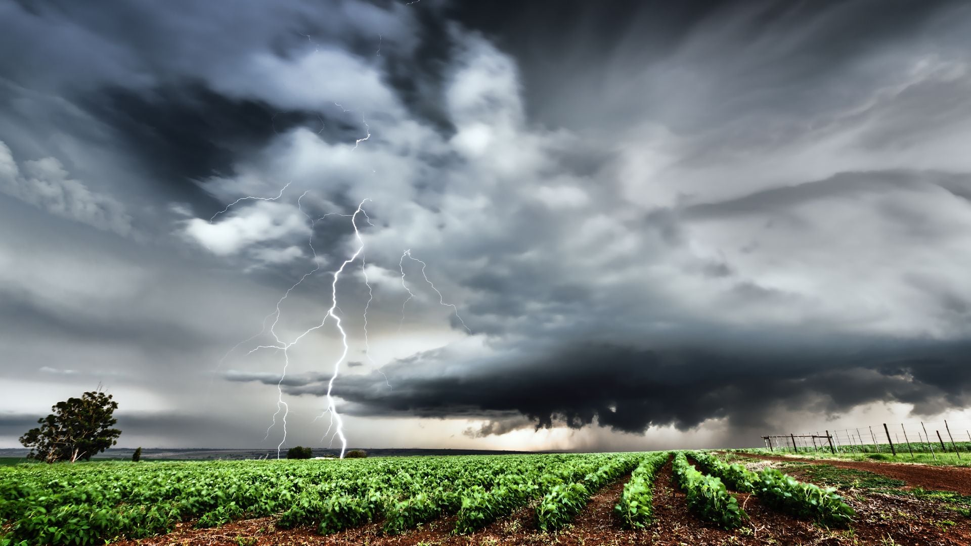 African Landscape Lightening Strike Over Field