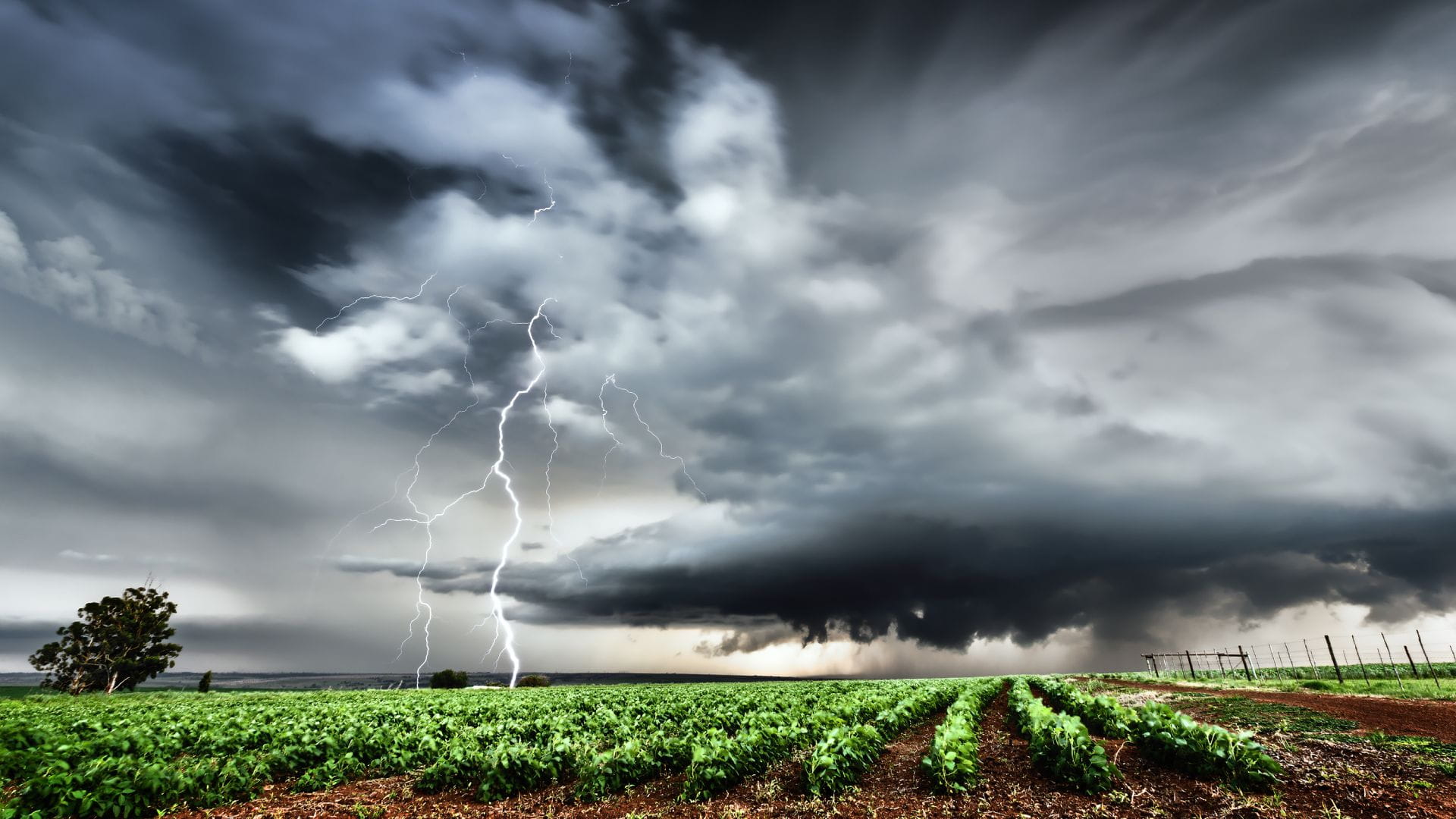 African Landscape Lightening Strike Over Field