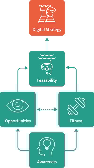 sustainable digital strategy framework