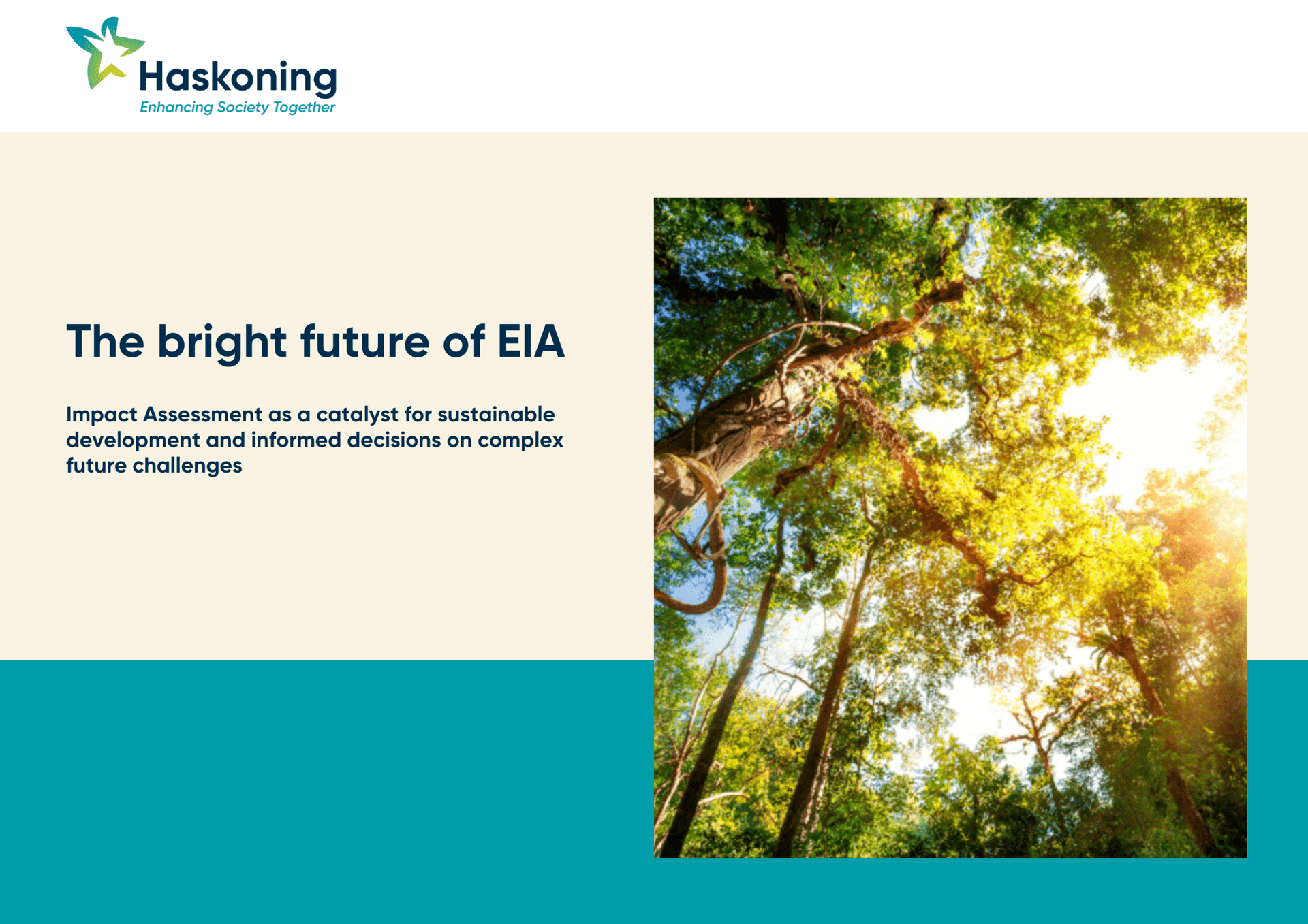 The bright future of EIA whitepaper cover