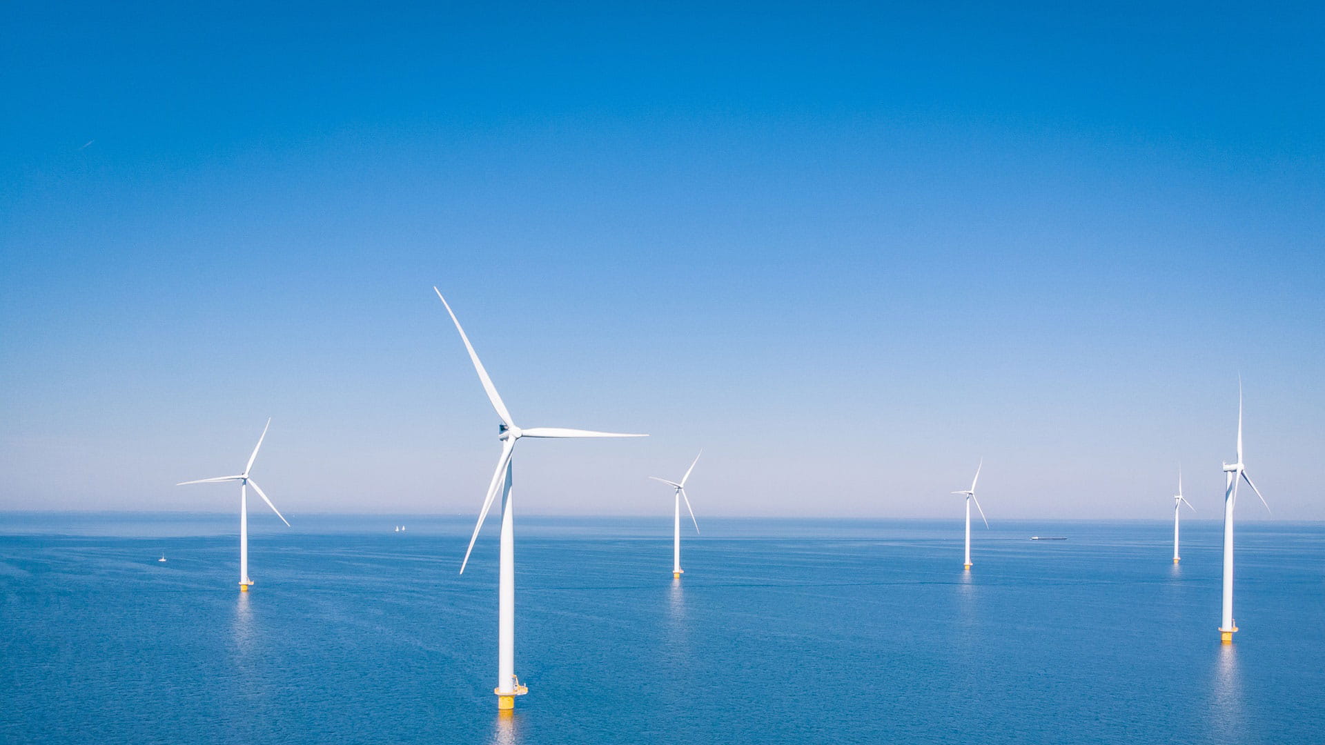 Environmental & corporate responsibility services l Haskoning