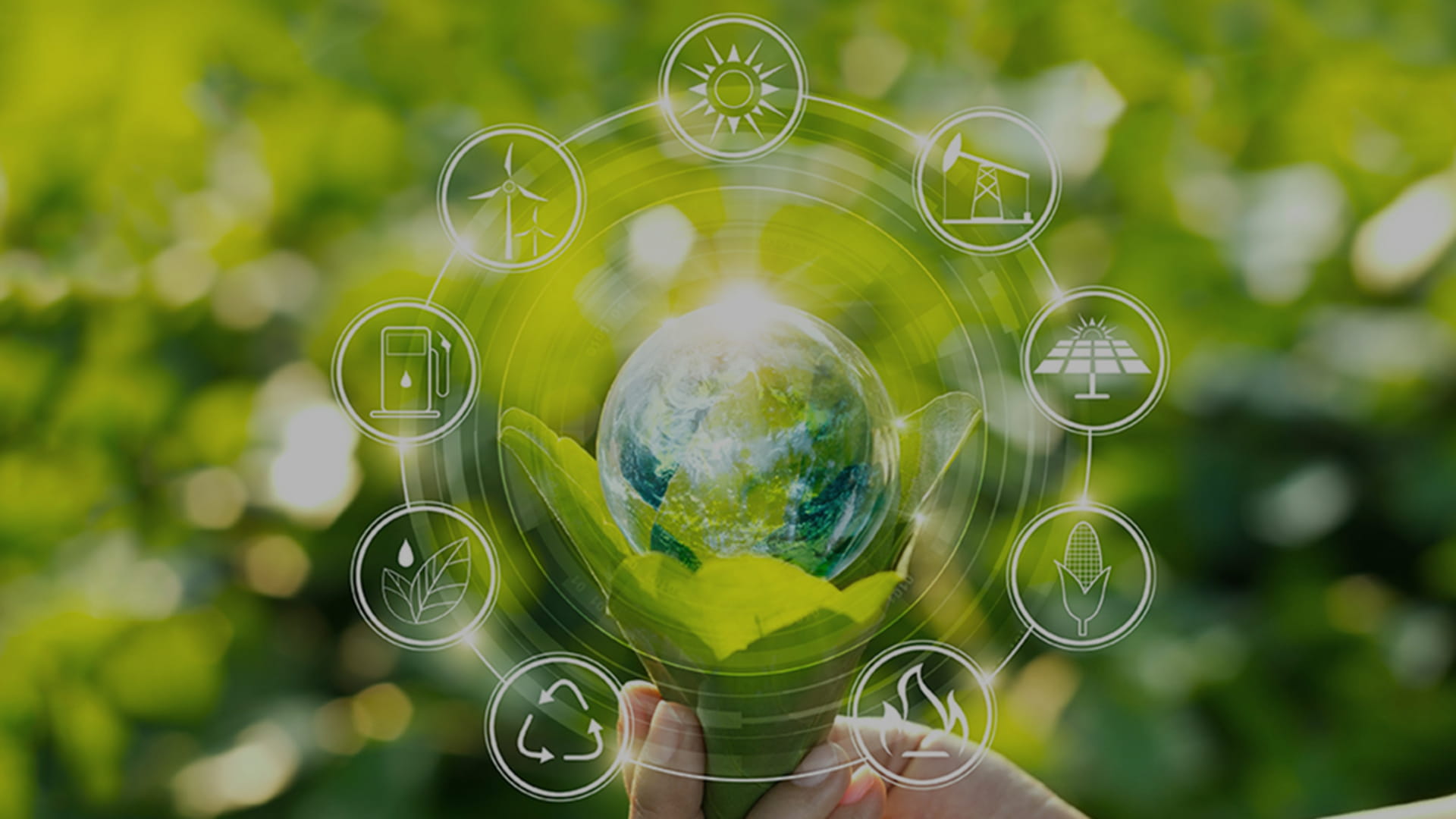 Visualisation of CSRD