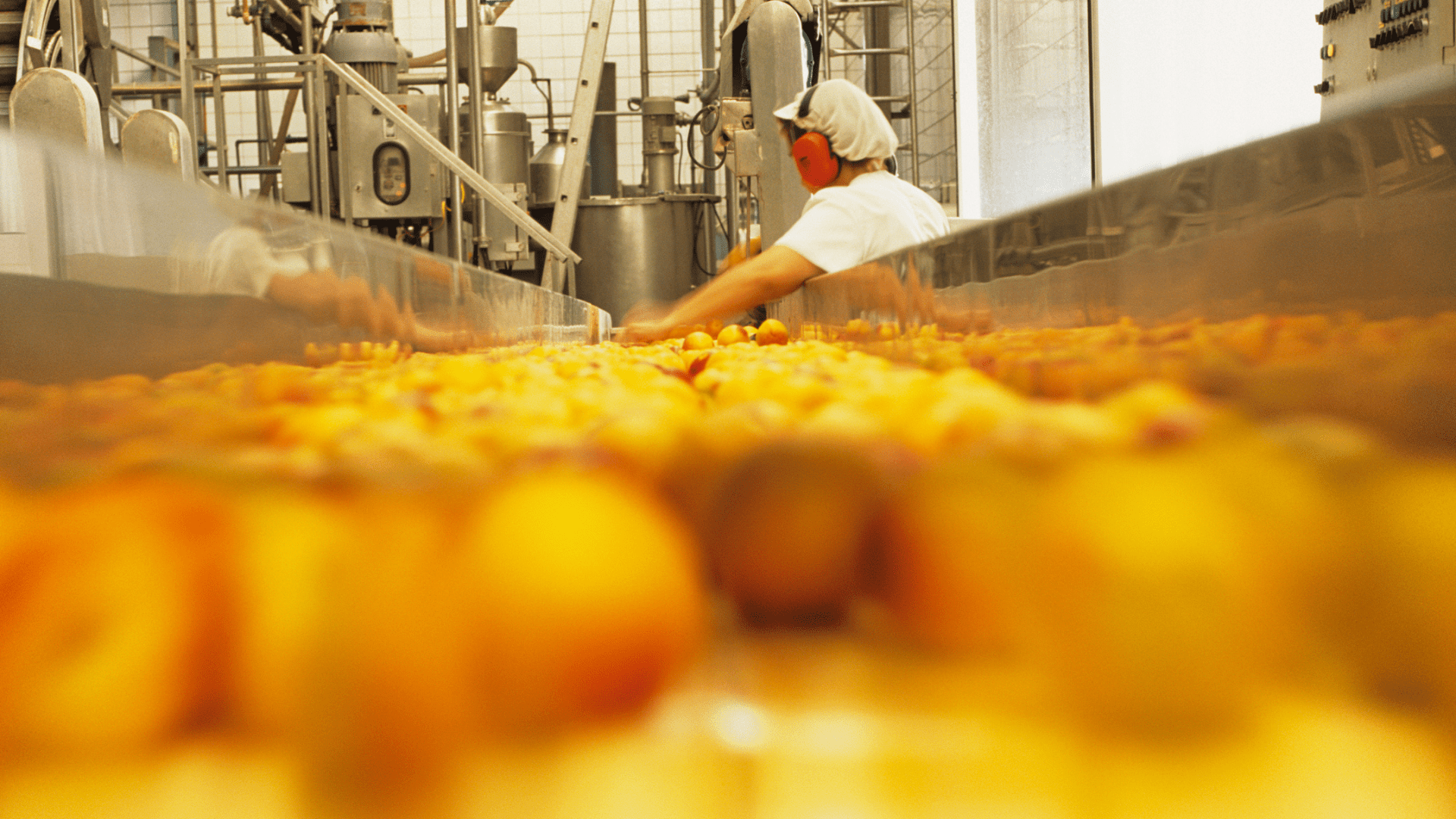 Operator managing fruit processing line in food manufacturing plant, showcasing operational excellence and high-performance operations in asset-intensive industry