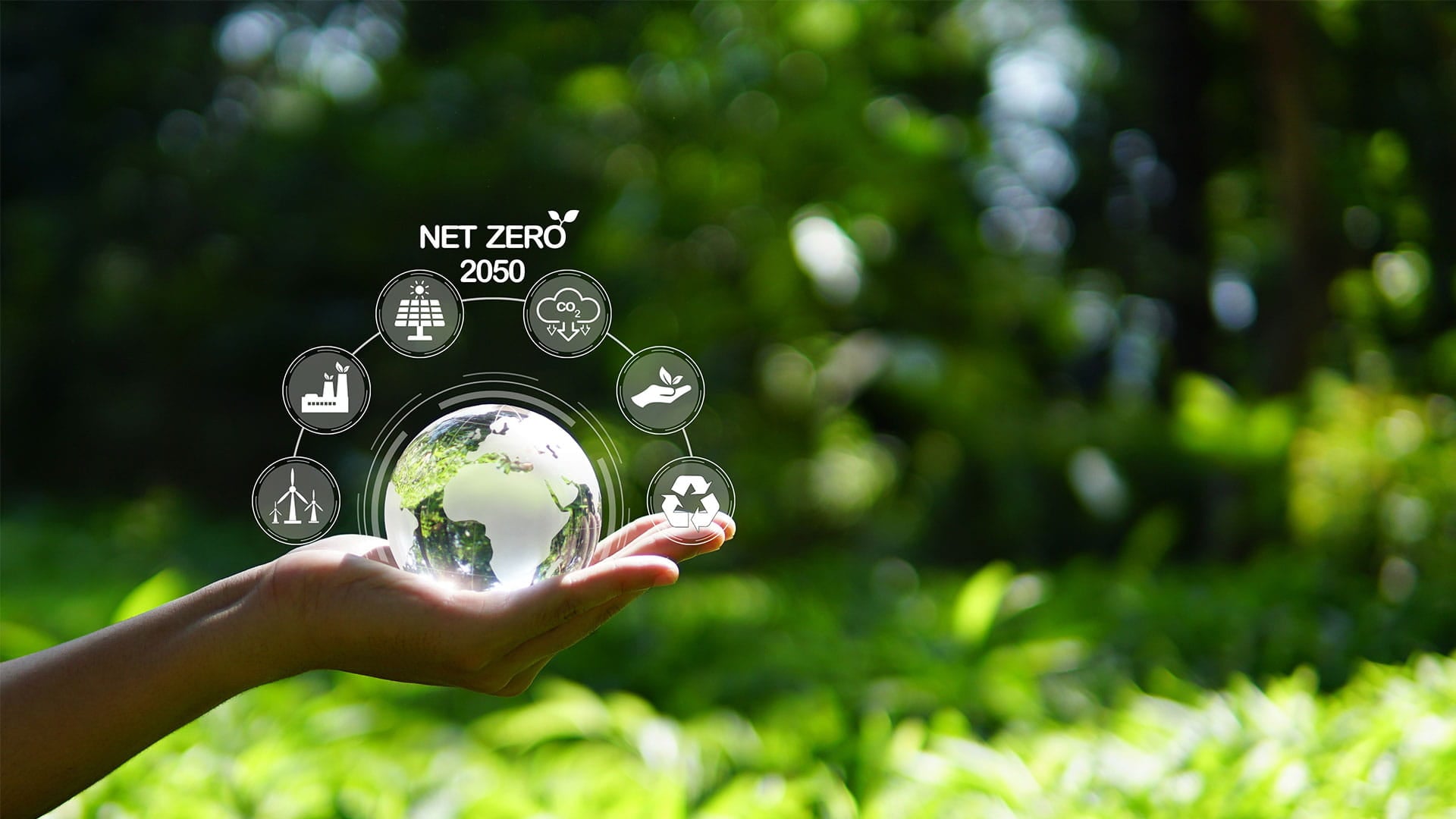 Hand met kristallen bol op netto nul