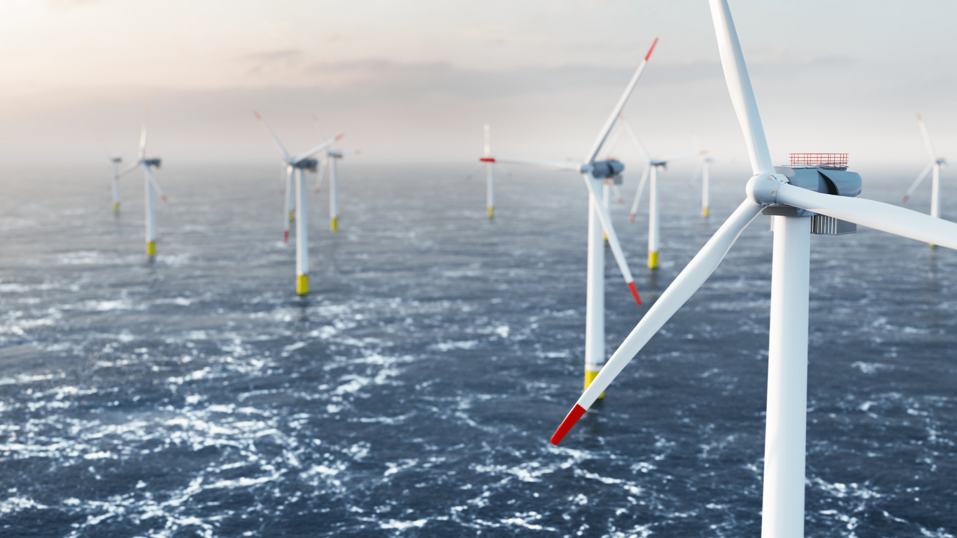 An offshore wind farm