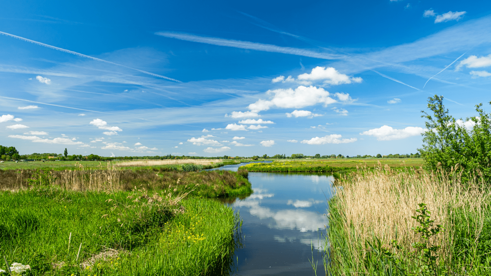 River flowing through green wetlands under a blue sky with scattered clouds.
