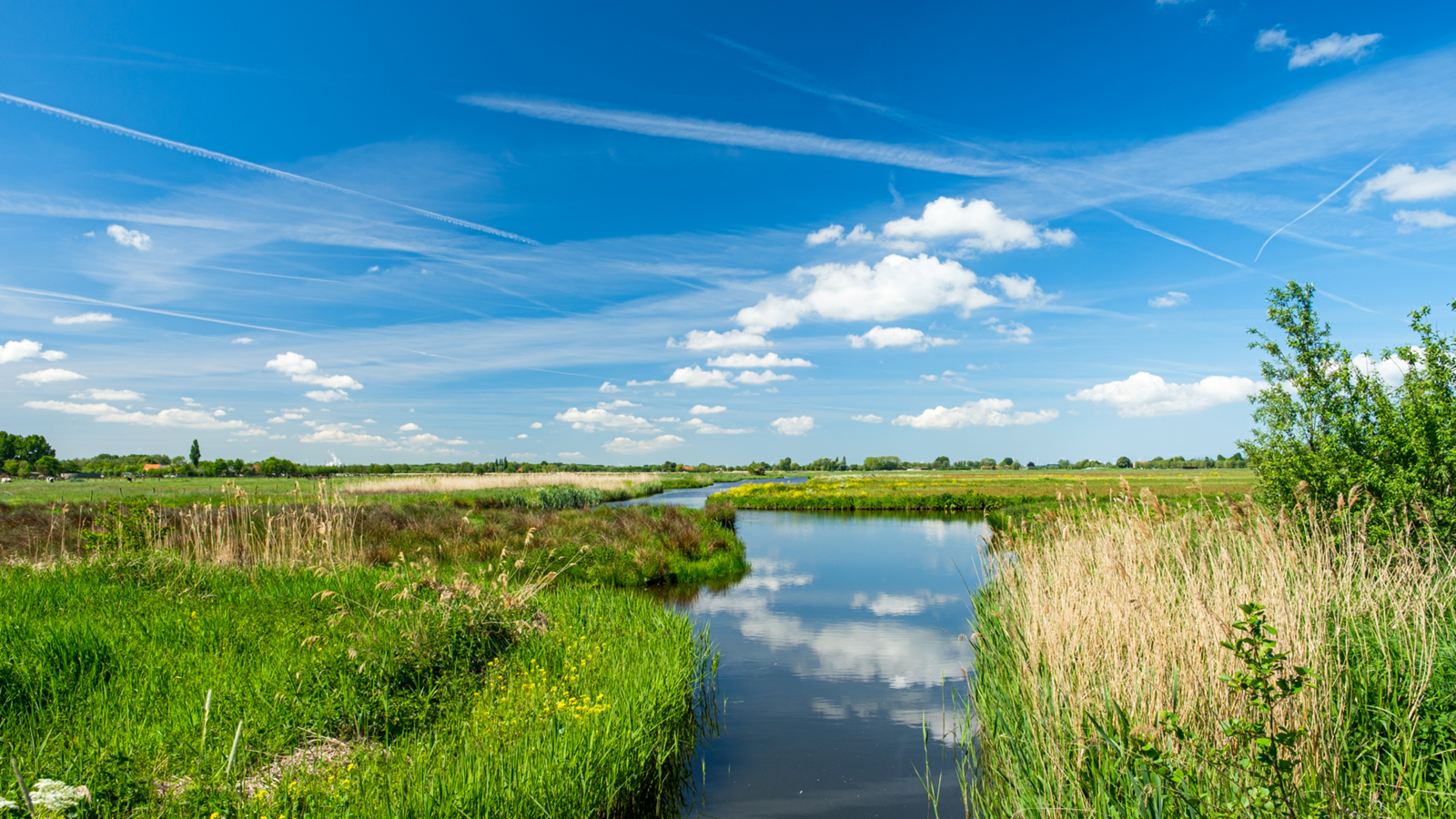 River flowing through green wetlands under a blue sky with scattered clouds.