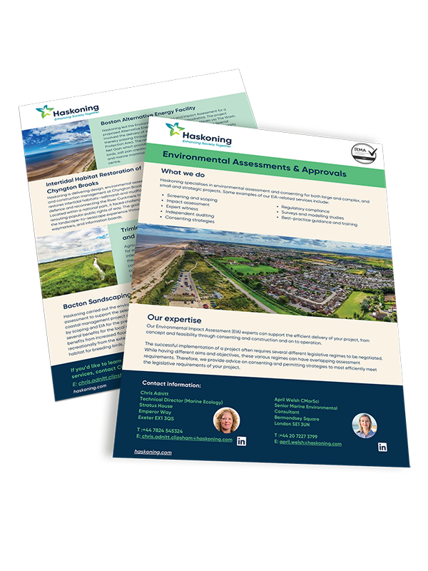 Flyer on environmental impact assessments, regulatory compliance, and consenting strategies for coastal projects.