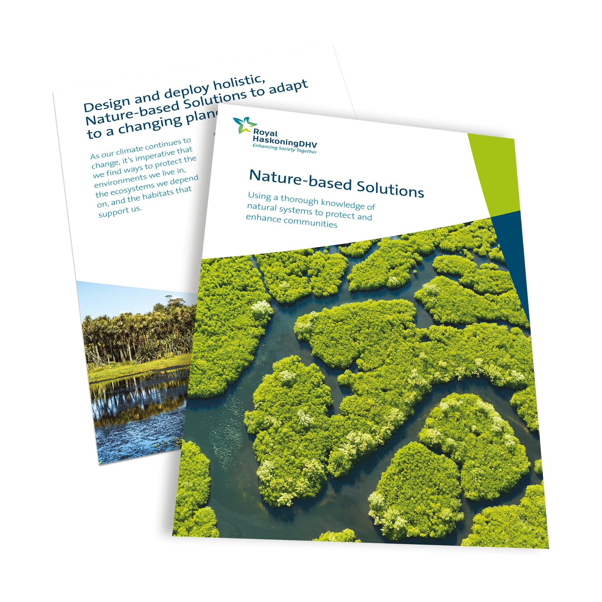 Nature-Based Solutions | Haskoning