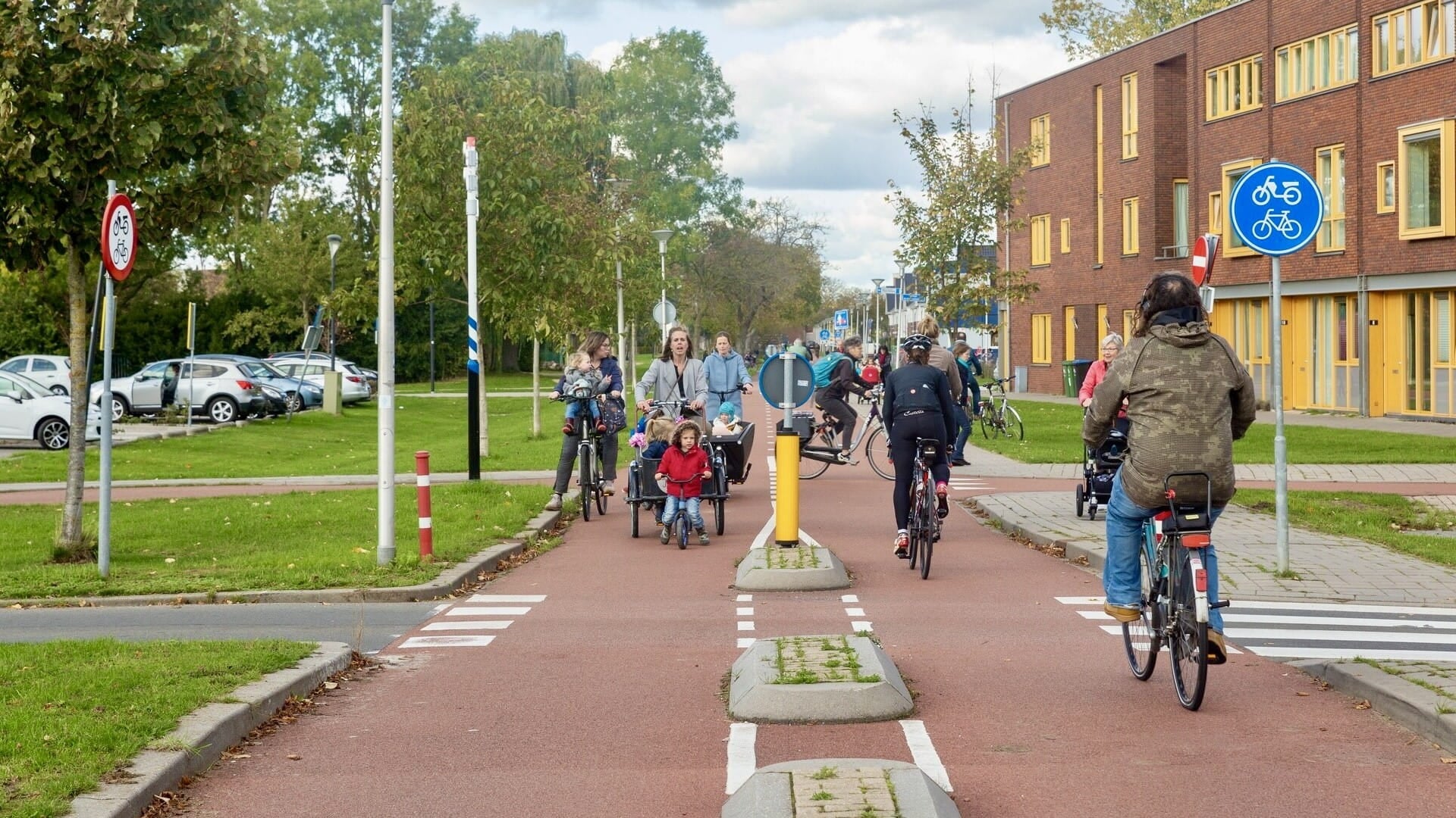 People are biking on the street