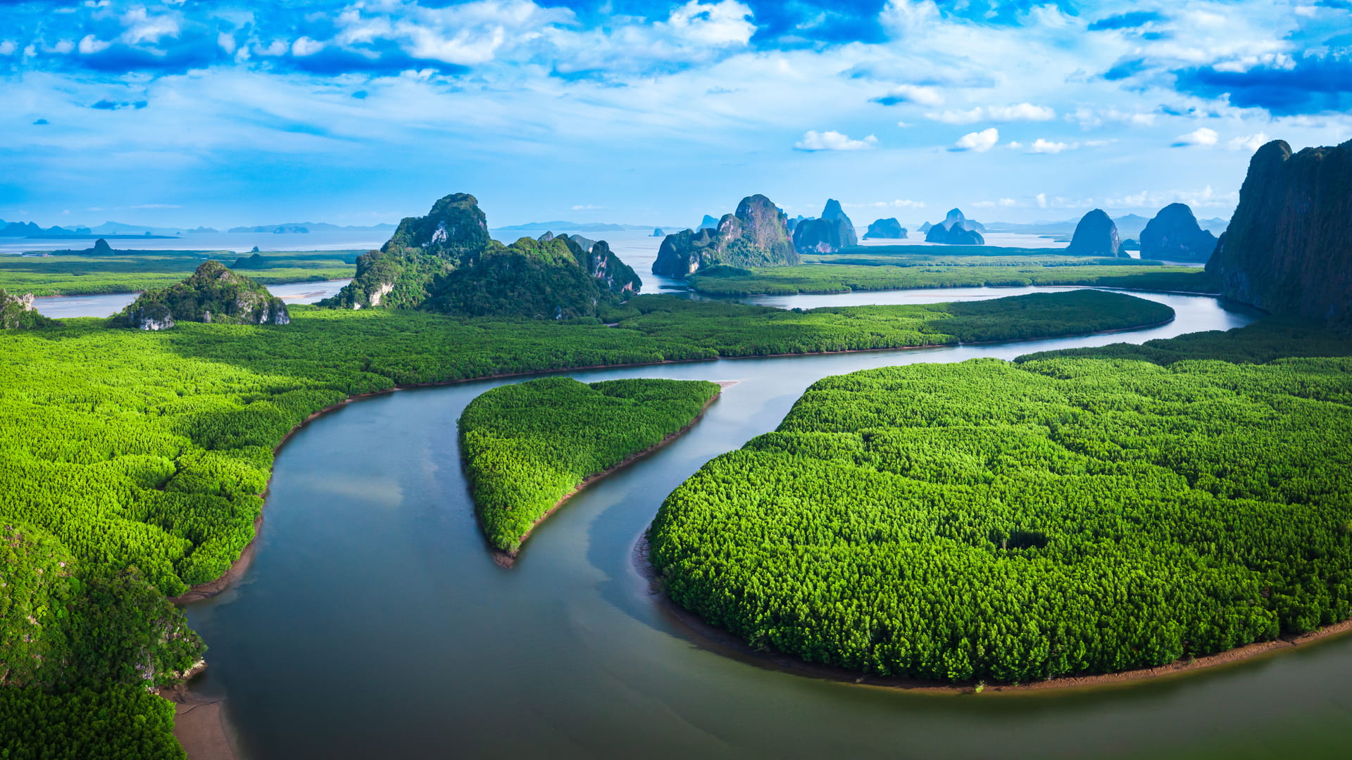 Water body creating a roadmap surrended by green rainforest 