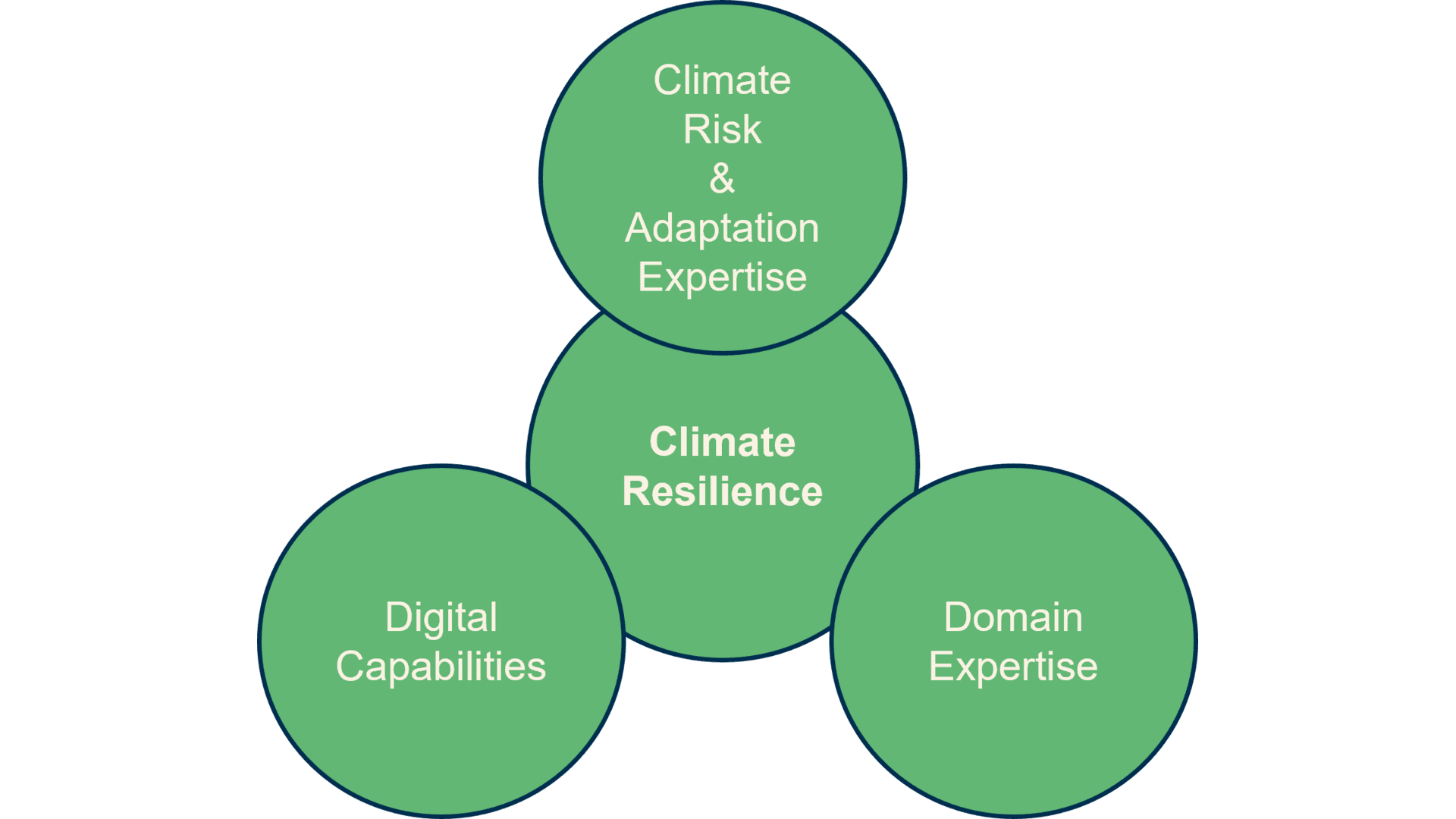 Climate Resilience Visual