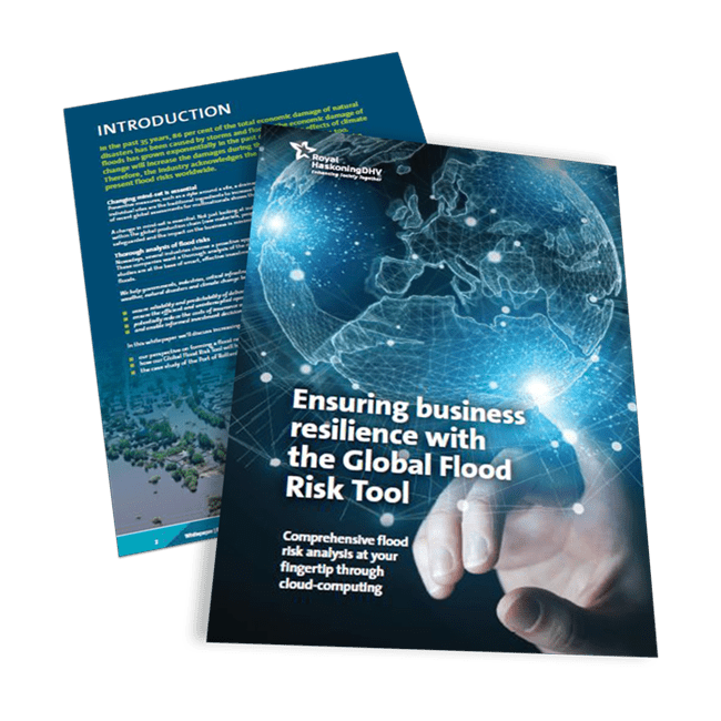 White paper Global Flood Risk Tool