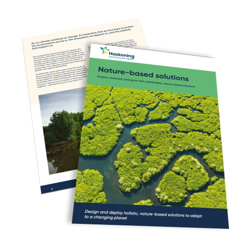 nature based solutions brochure