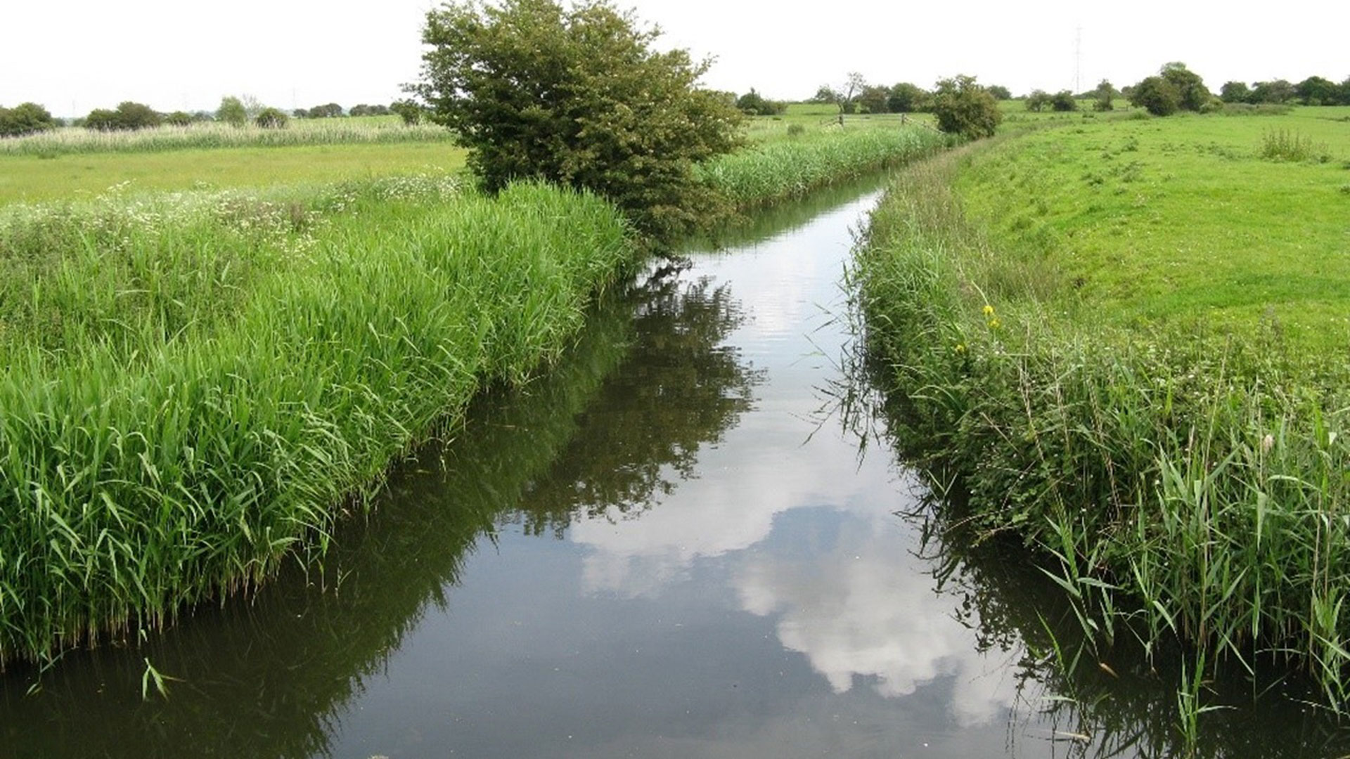 Nutrient Neutrality l Haskoning