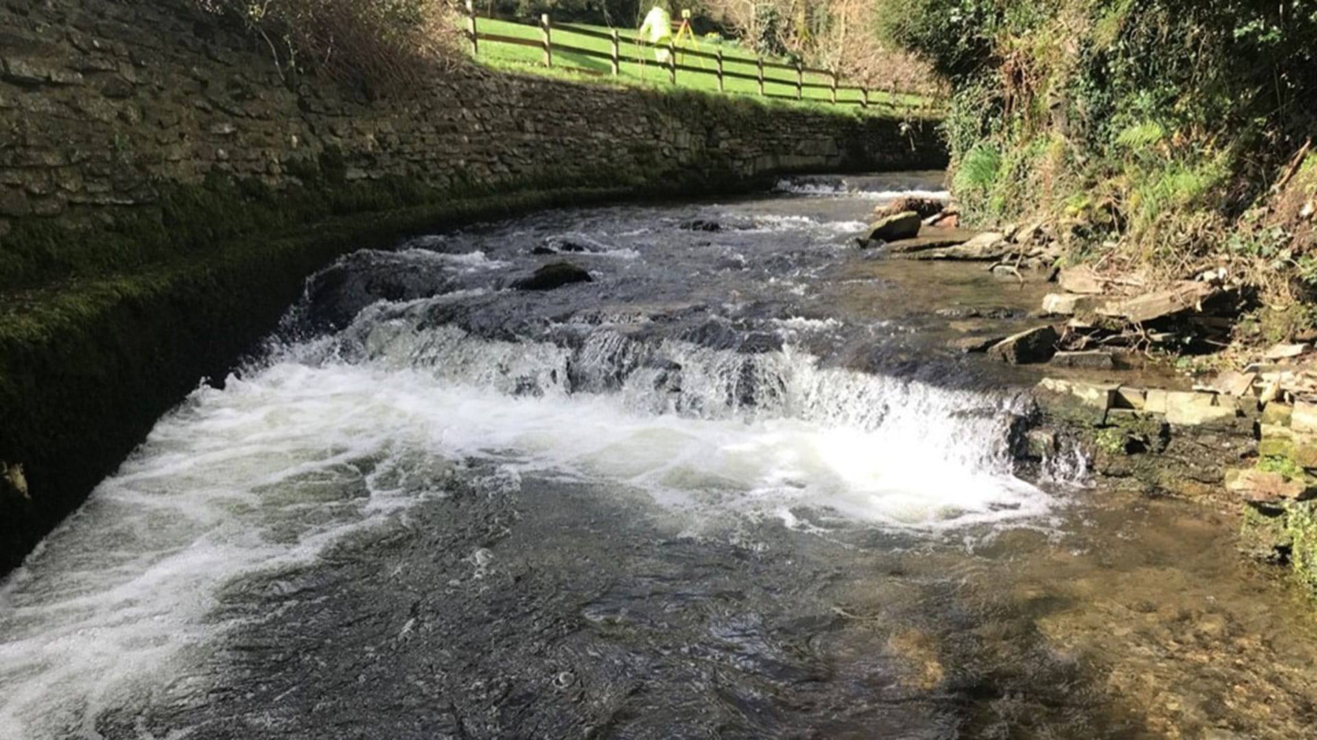 Nutrient Neutrality l Haskoning