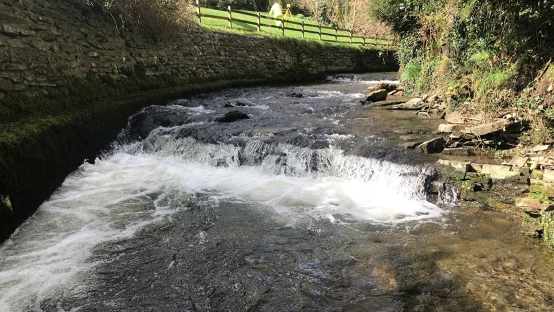 Nutrient Neutrality l Haskoning