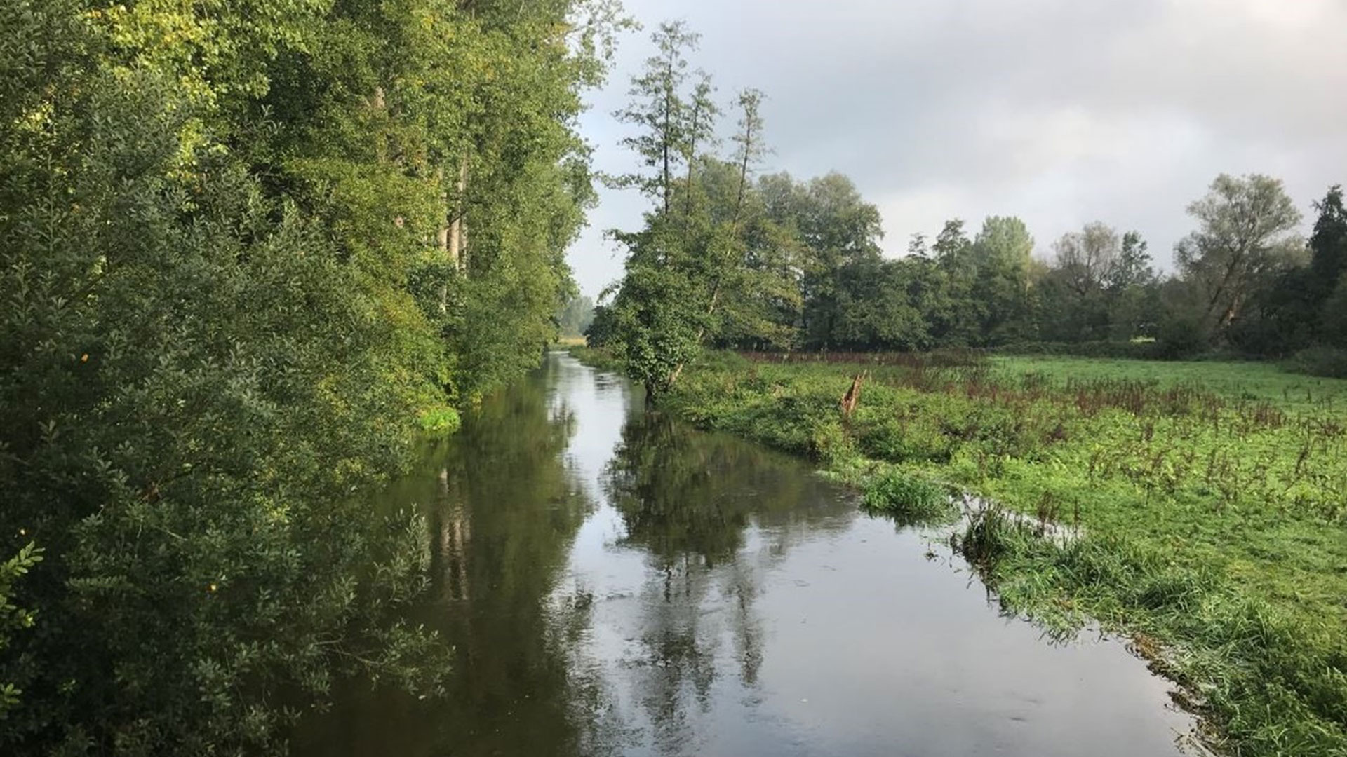 Nutrient Neutrality l Haskoning