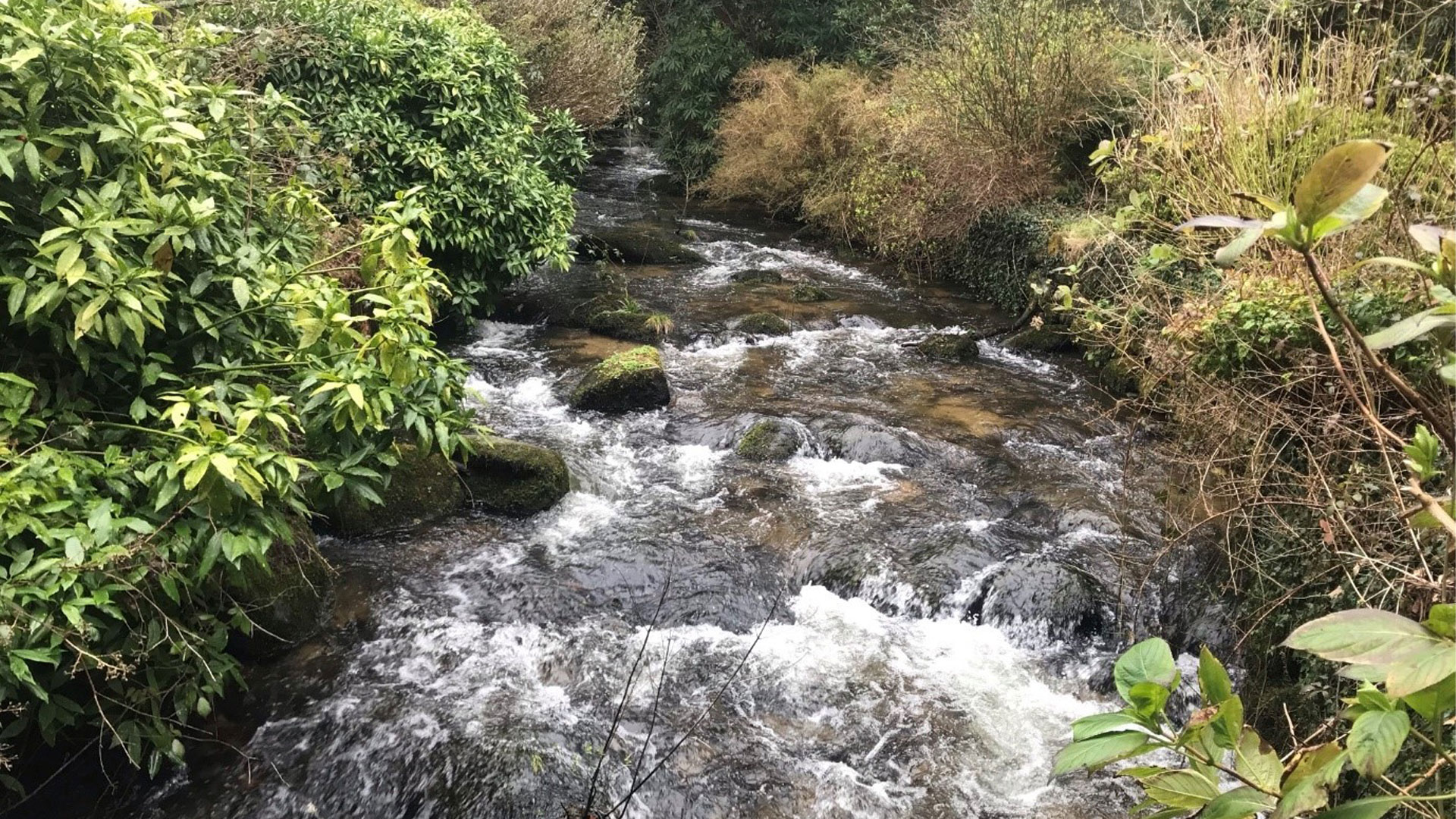 Nutrient Neutrality: Frequently Asked Questions l Haskoning