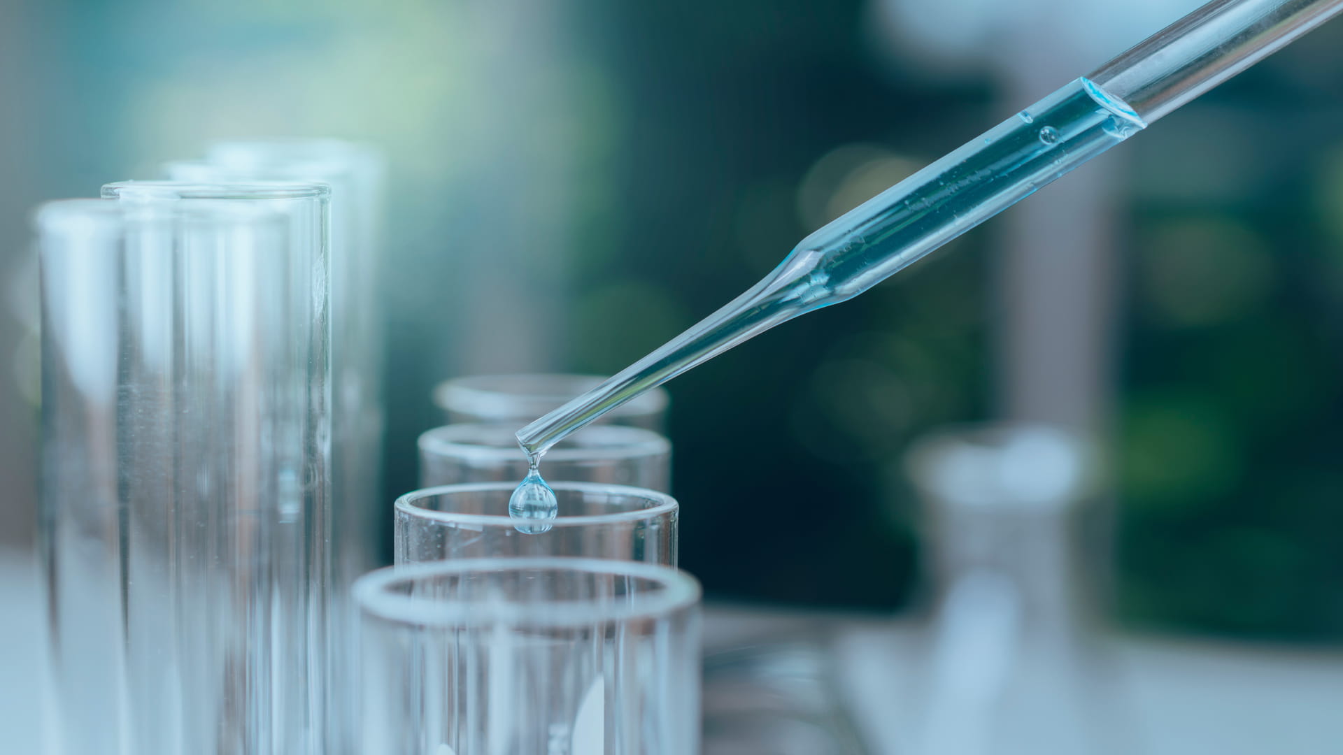 Researcher with glass laboratory chemical test tubes with liquid for analytical, innovative, and scientific research concept.