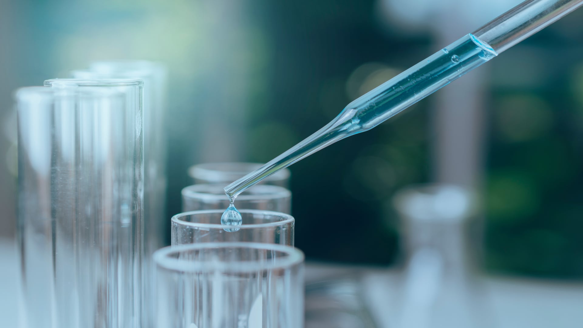 Researcher with glass laboratory chemical test tubes with liquid for analytical, innovative, and scientific research concept.