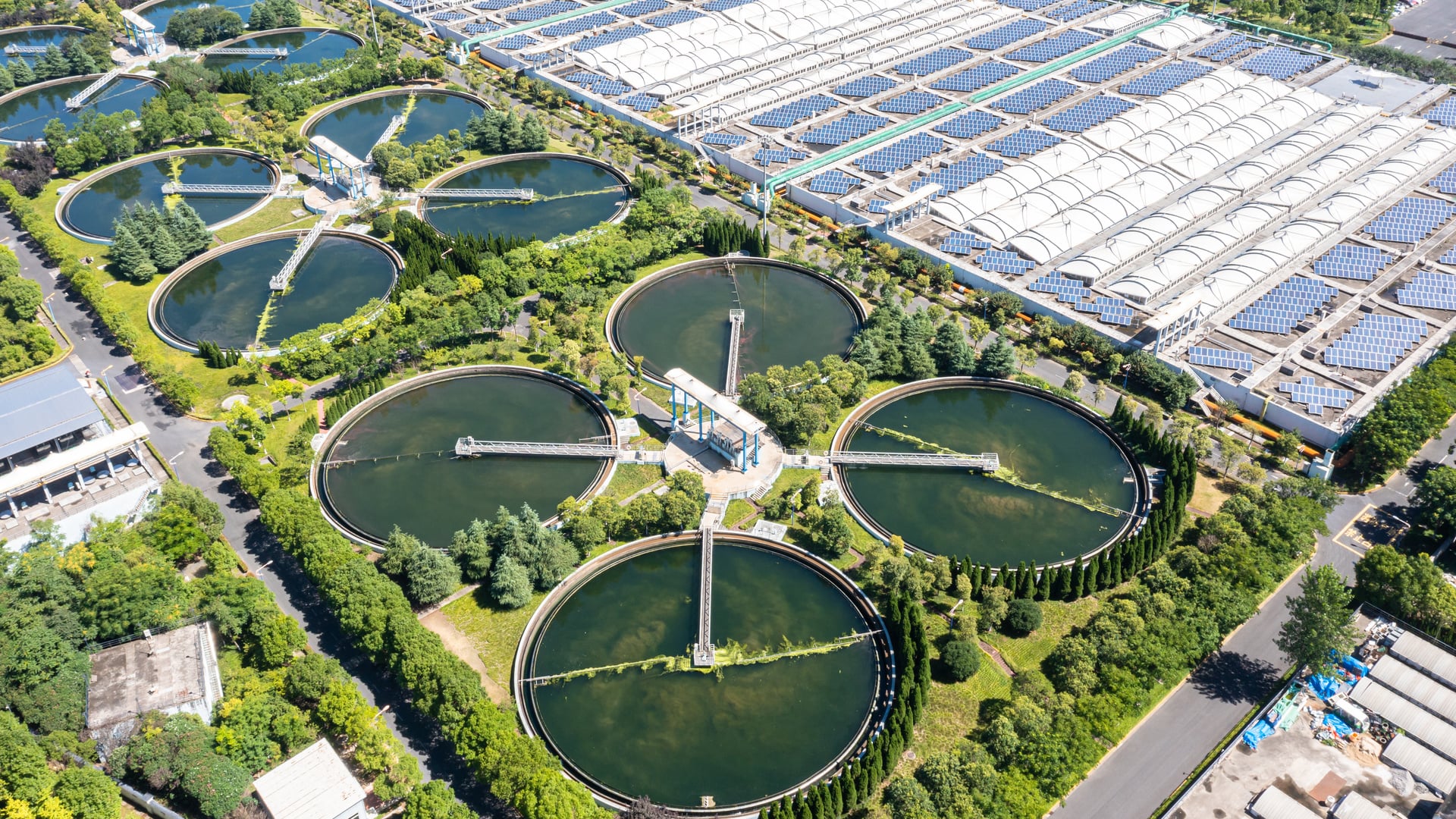 Aerial view of a waste water treatment plant covered by plants