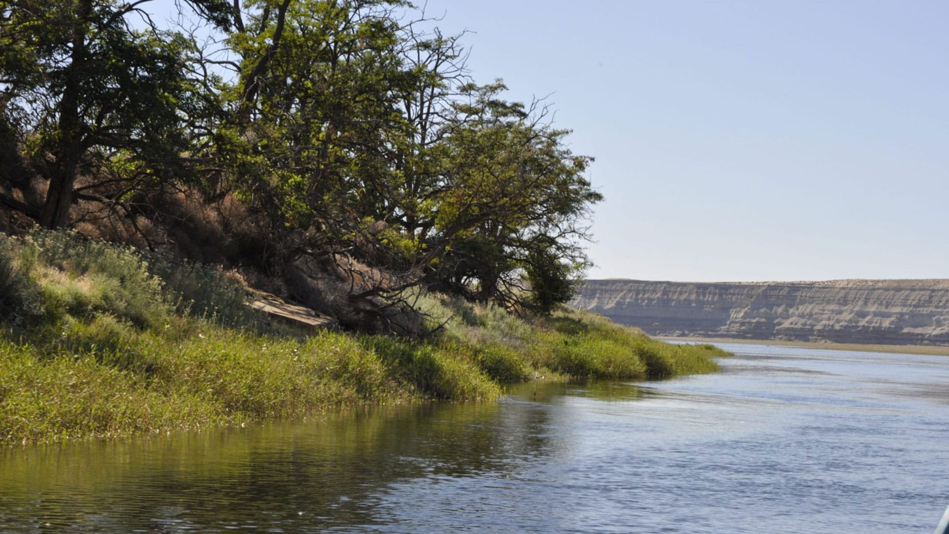 Green trees with the Washington River running past