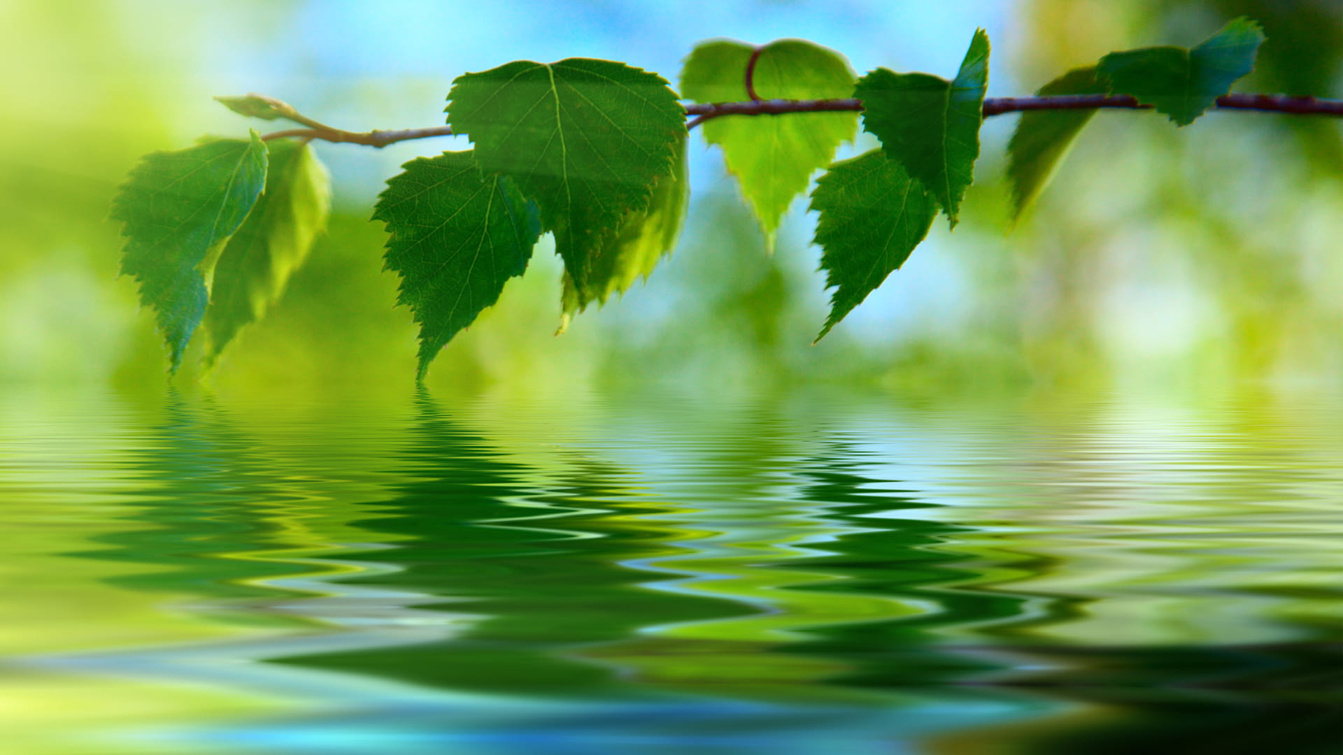 Washington River Protection Solution