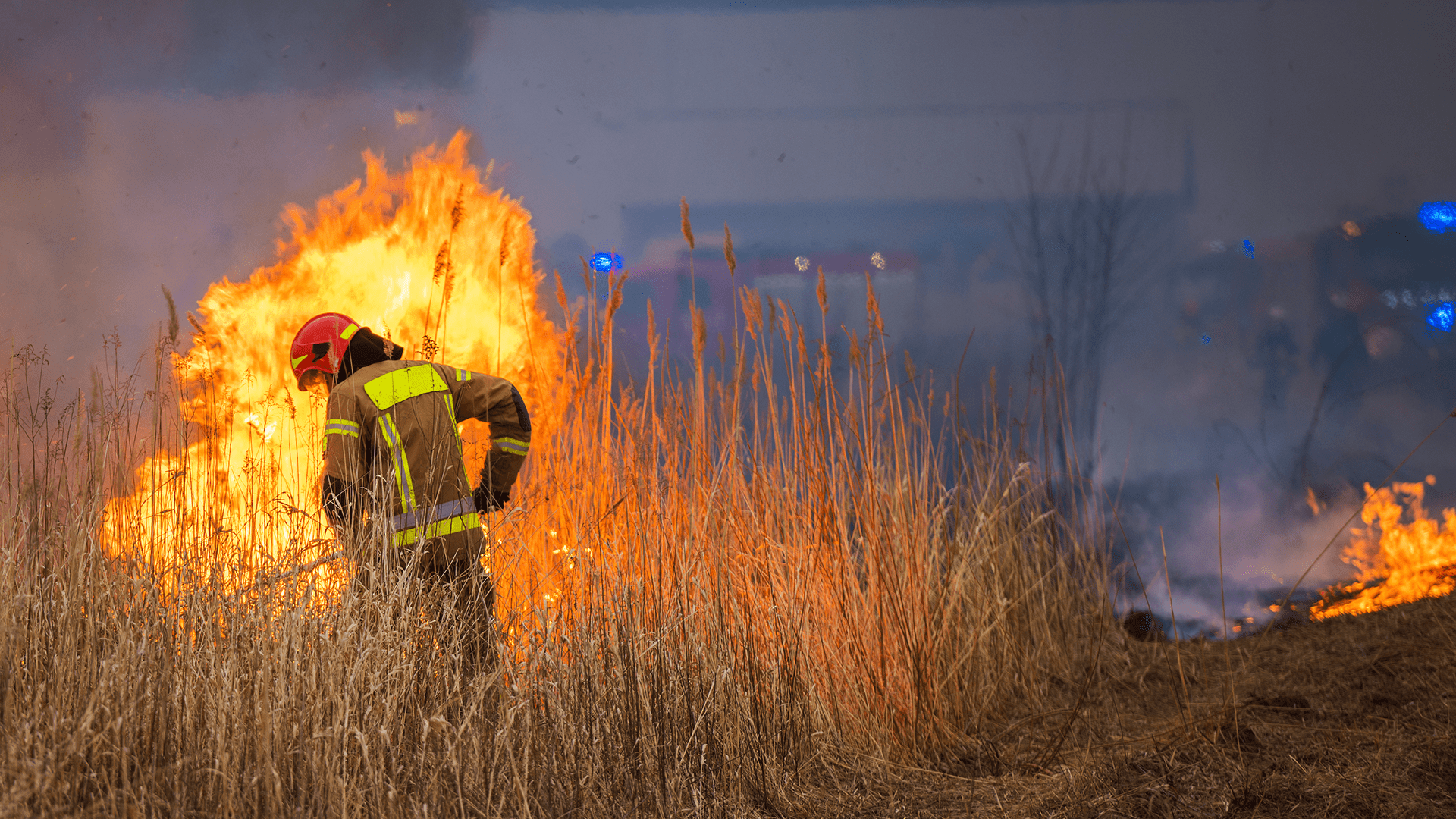 grassland wildfires