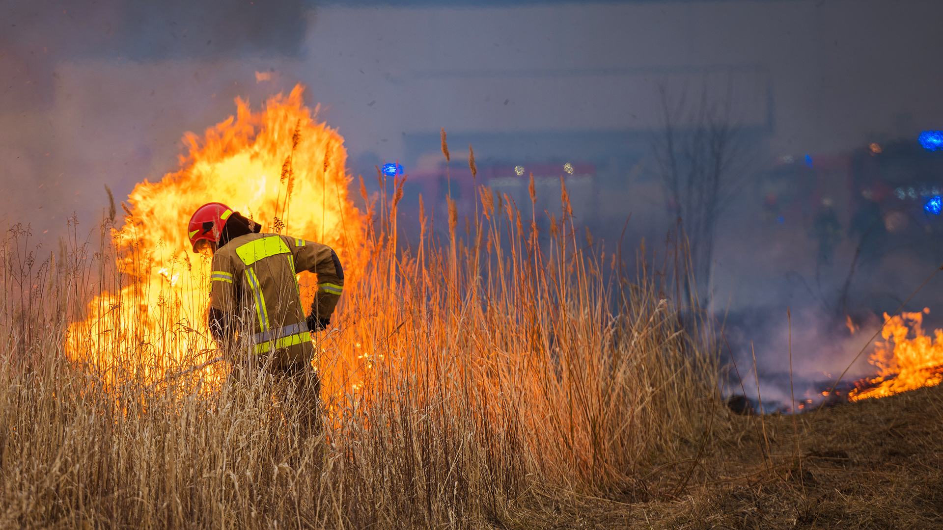 grassland wildfires
