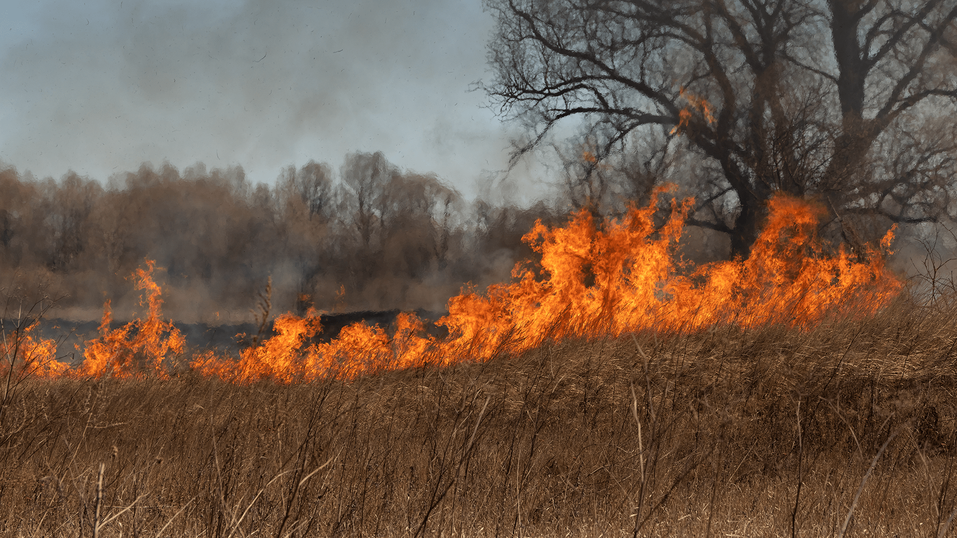 prairies wildfire