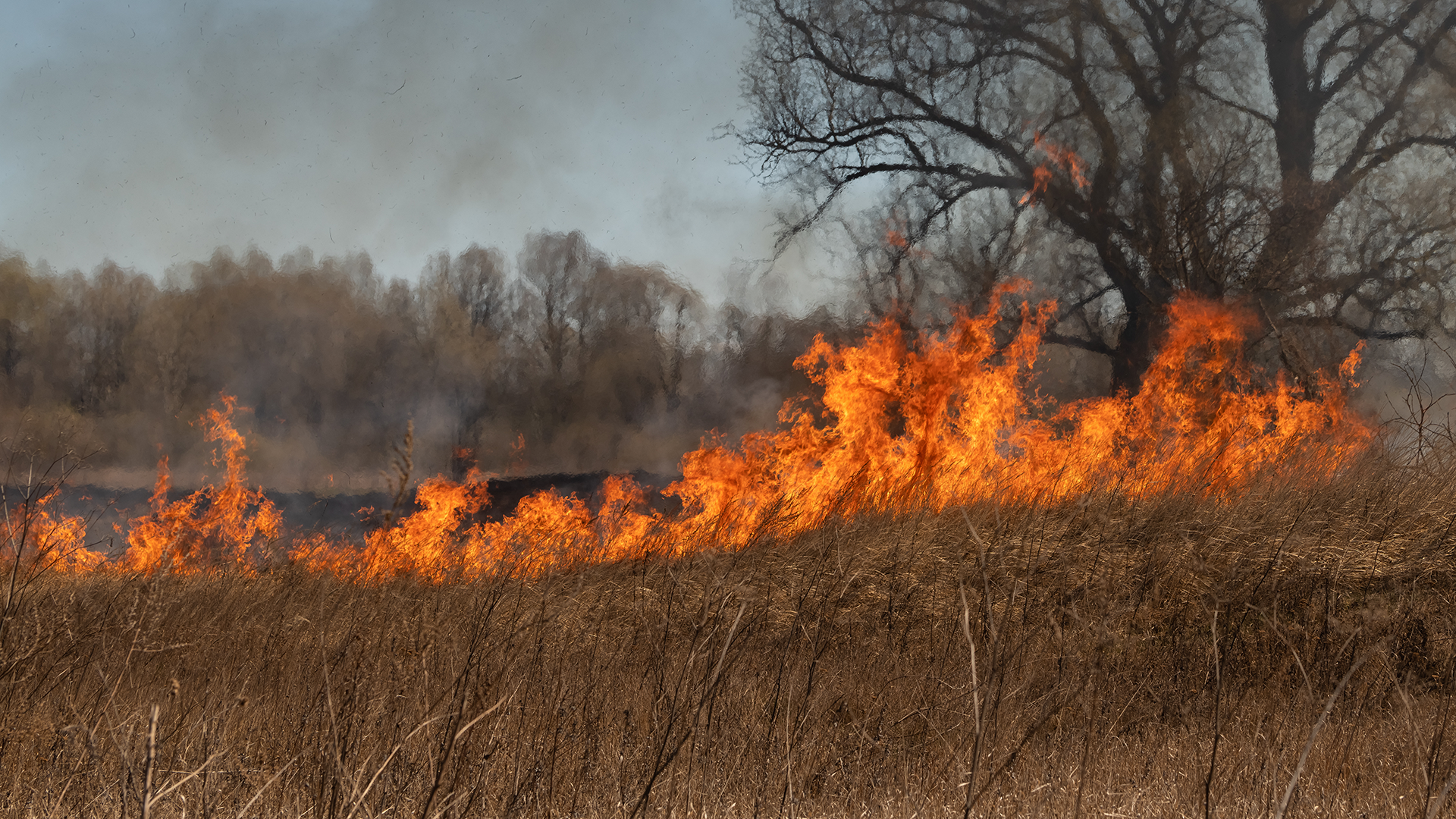 prairies wildfire