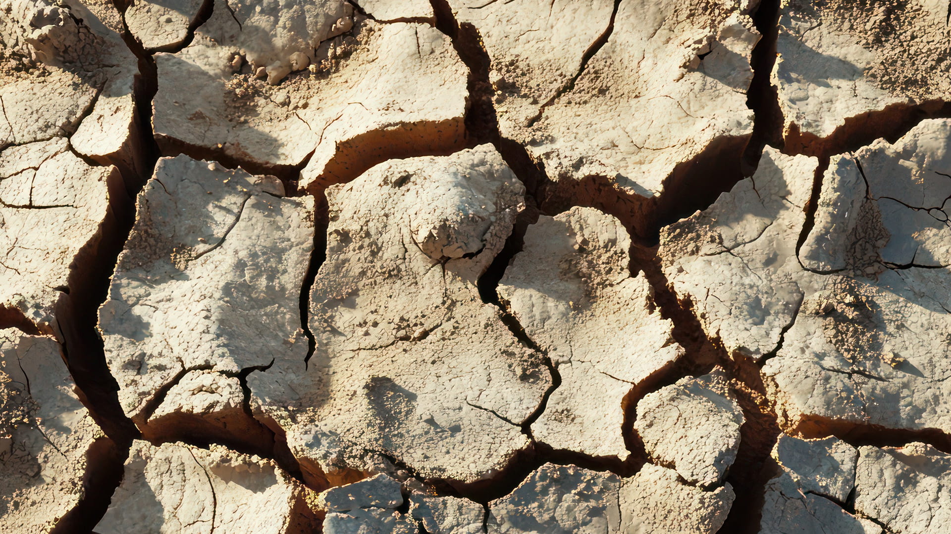 cracked clay soil after prolonged drought