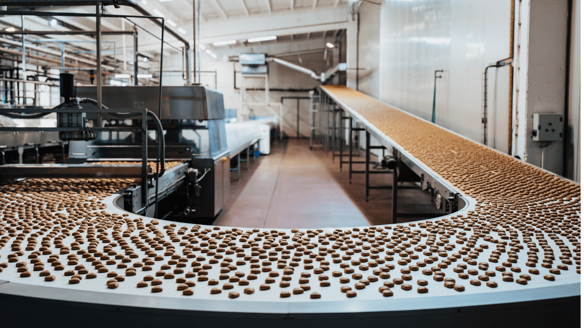 A chocolate production line