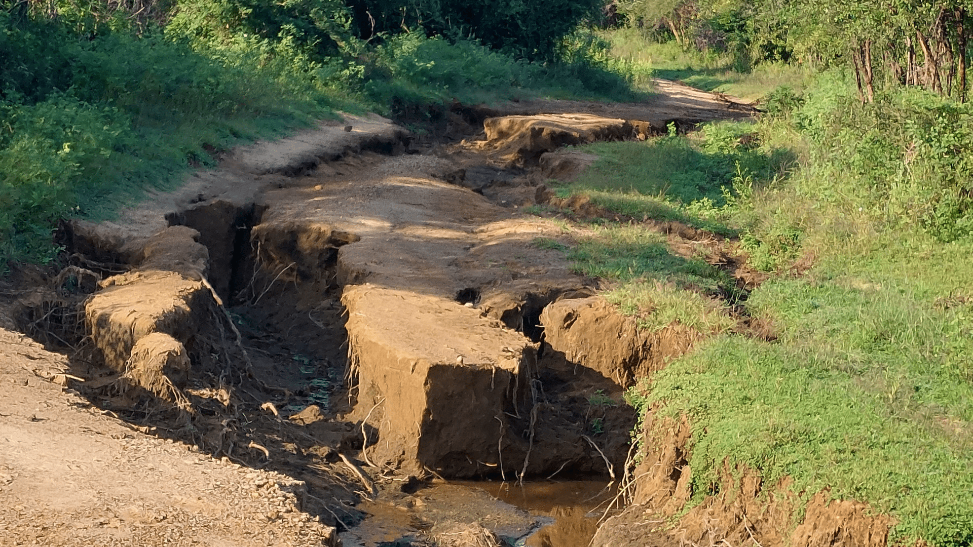 shrinkage of clay soil after prolonged period of drought opens up deep caverns in road track