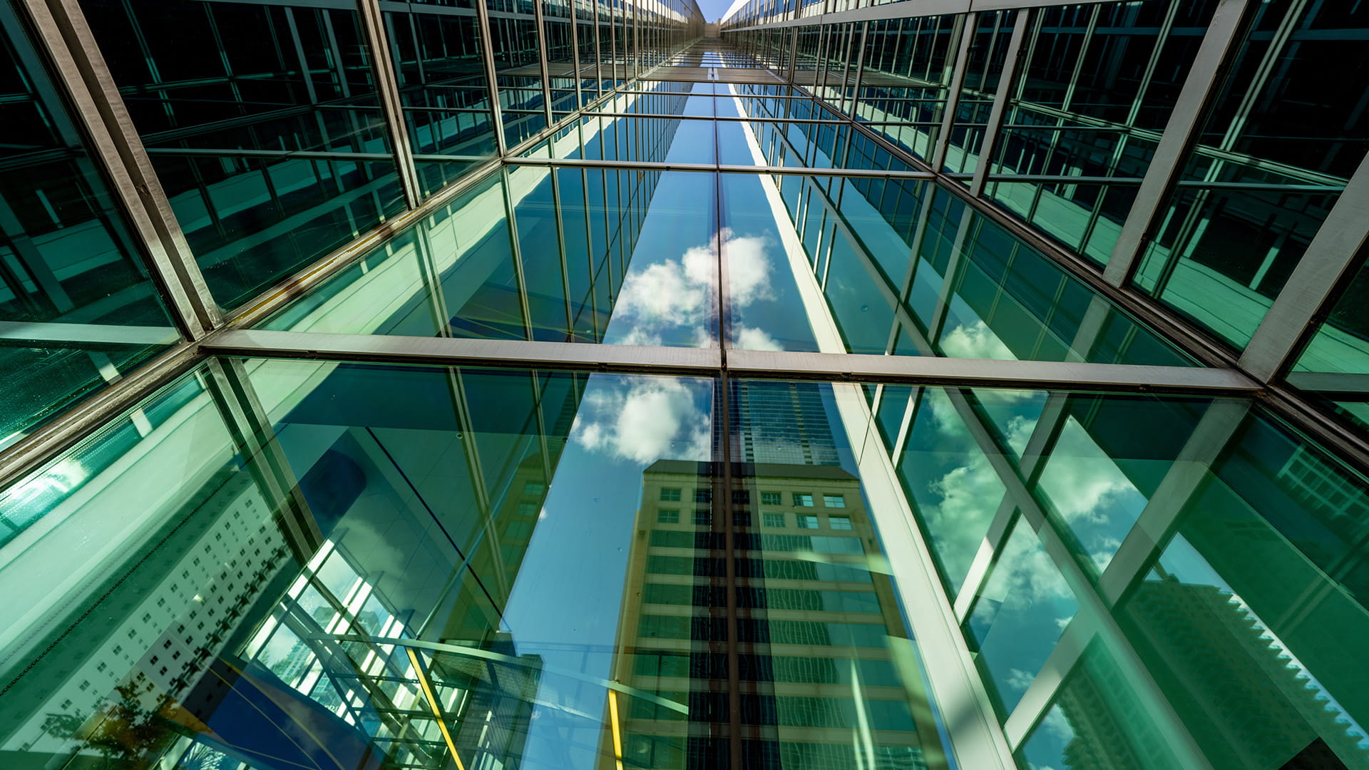 skyward view of high office buildings
