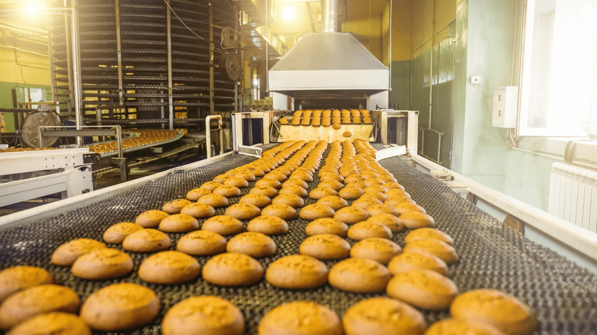 A bread production line